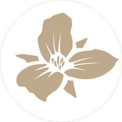 Trillium Brewing Company - Canton's avatar