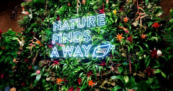 Nature's Way Product Launch