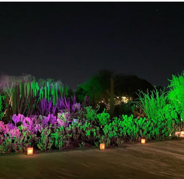 Desert Botanical Garden Binns Wildflower Pavilion Event Space in