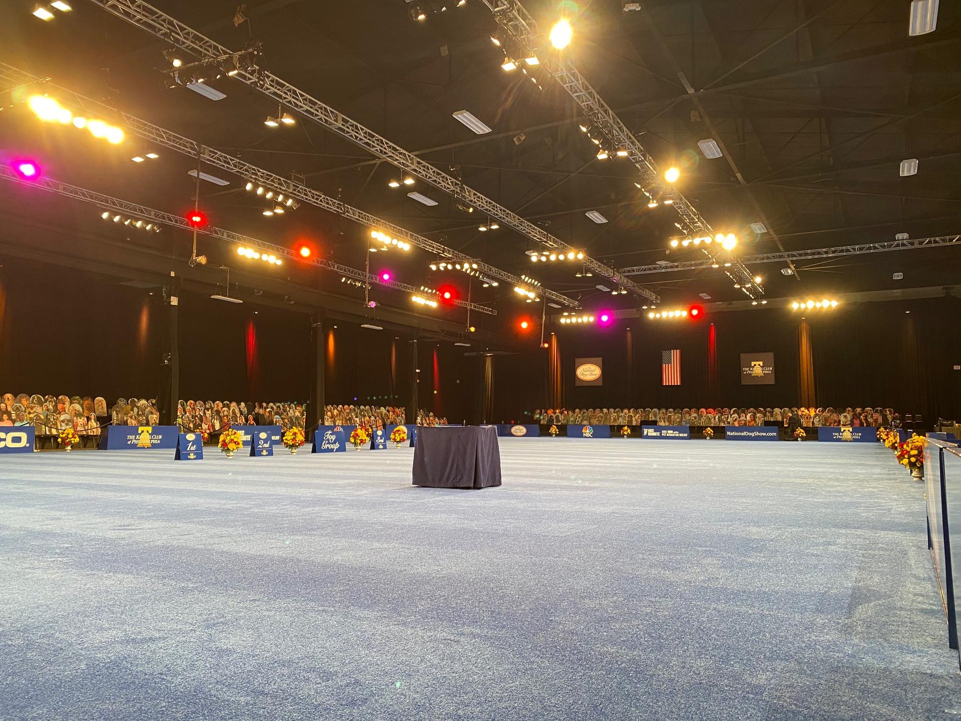 The National Dog Show