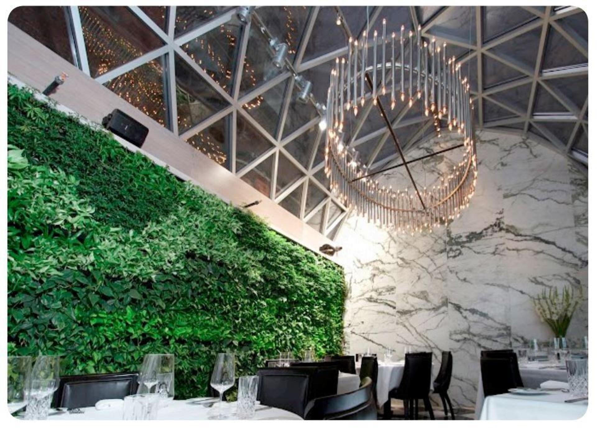 The Green Room