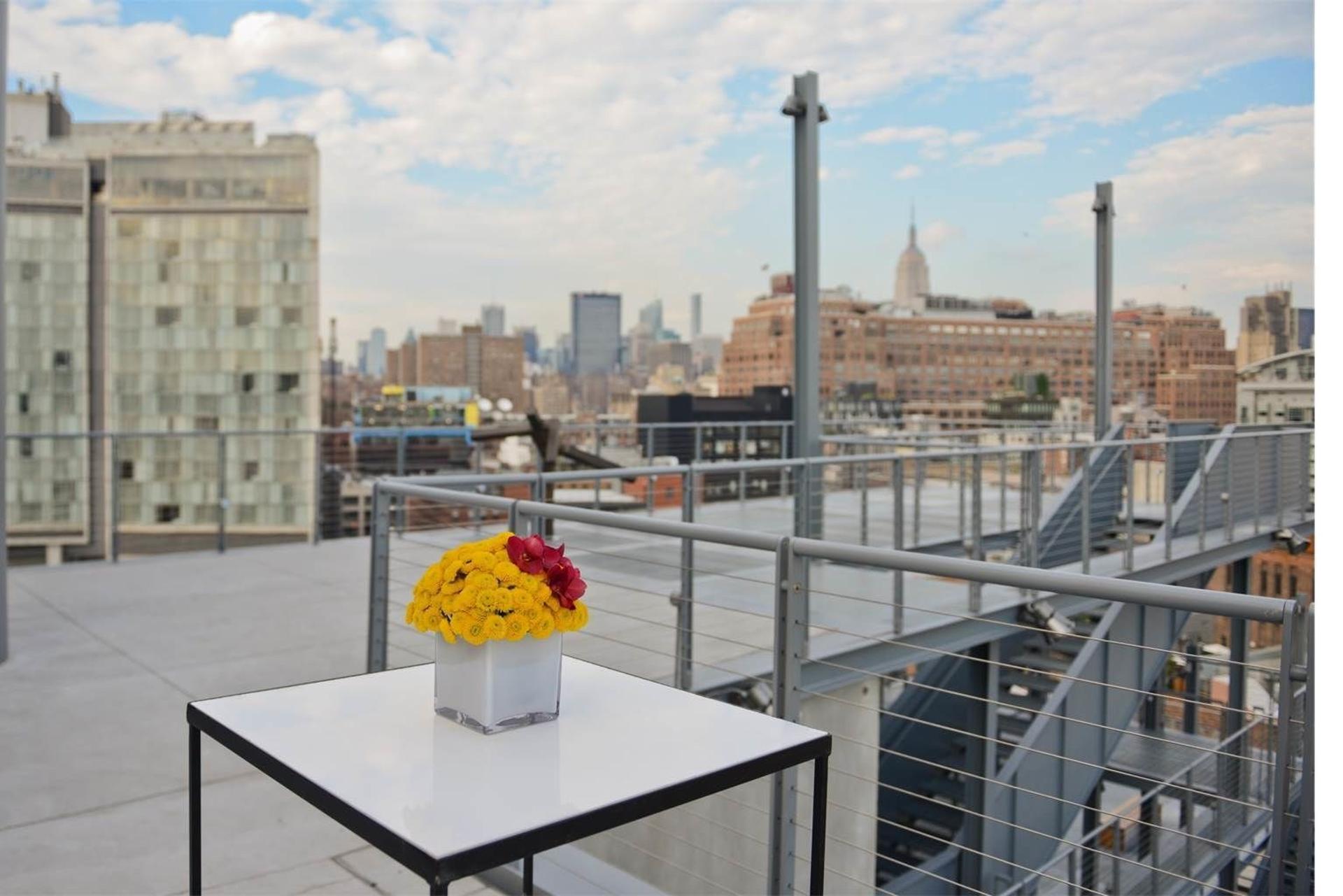 Studio Cafe and Thomas H. Lee Family Terrace