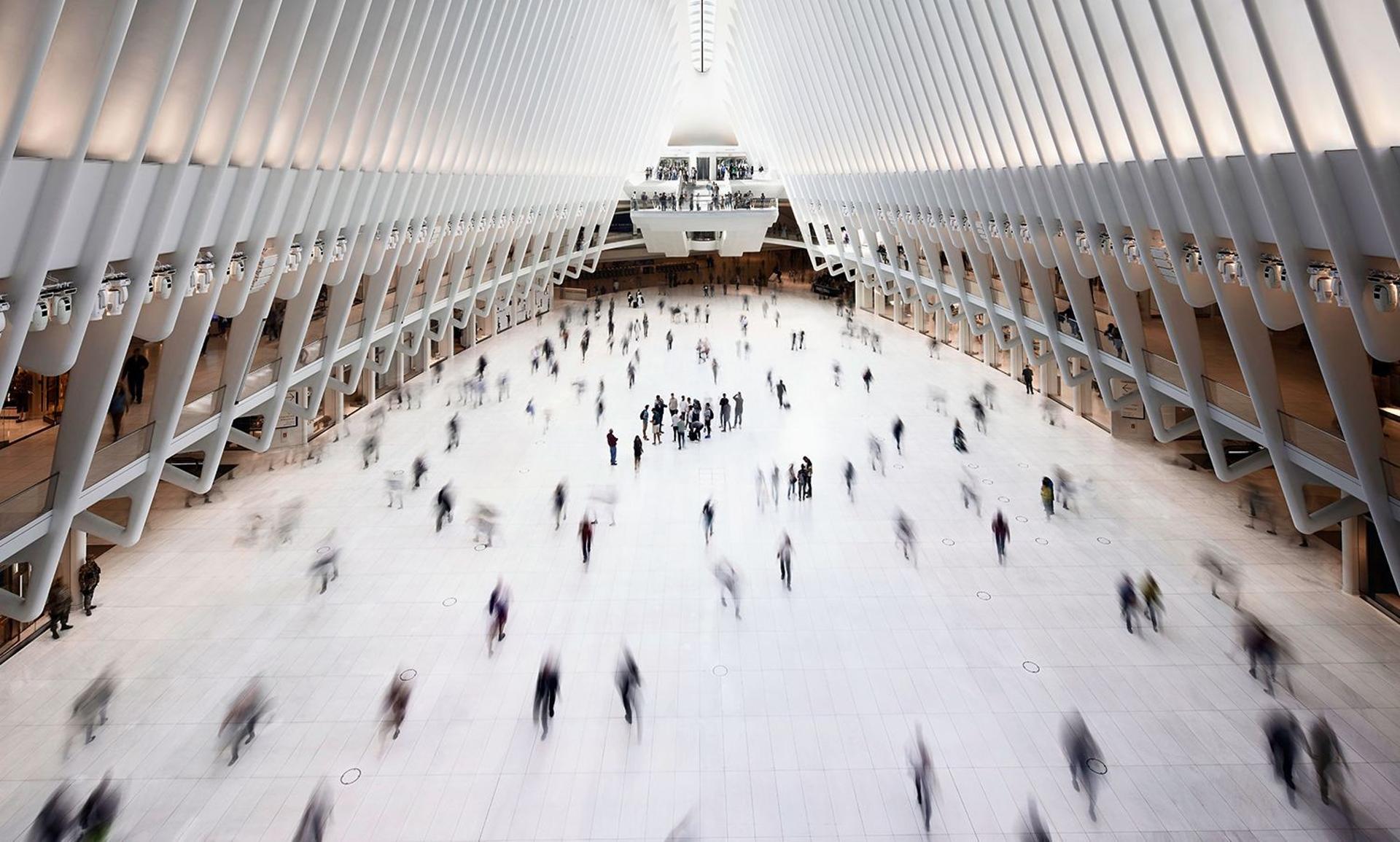 The Oculus