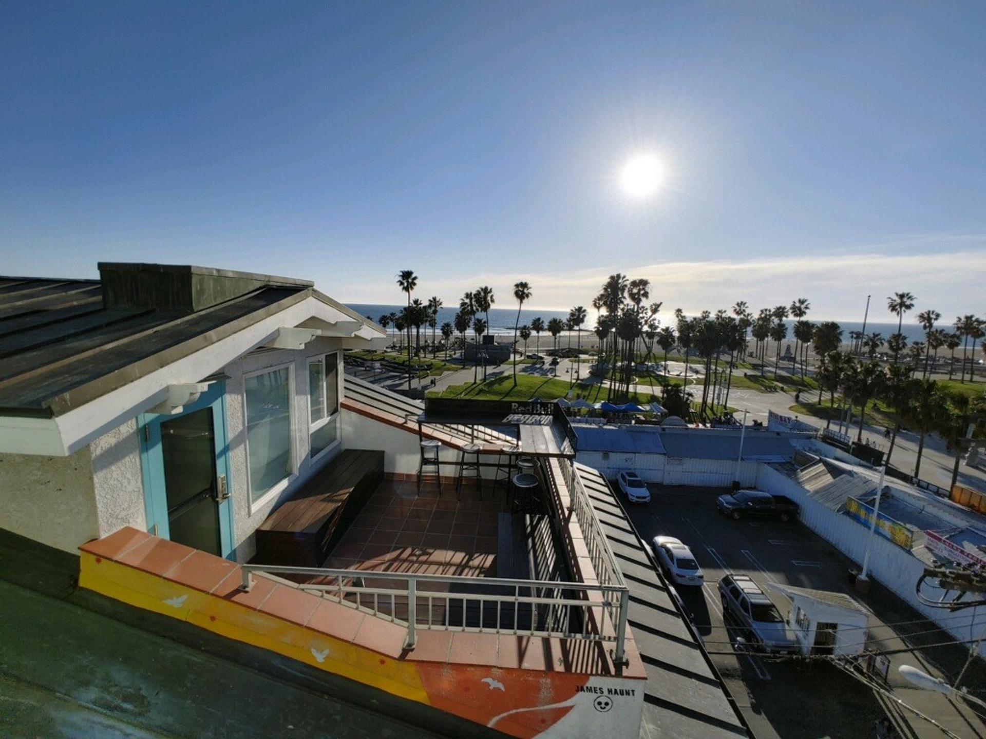 Dogtown Suite