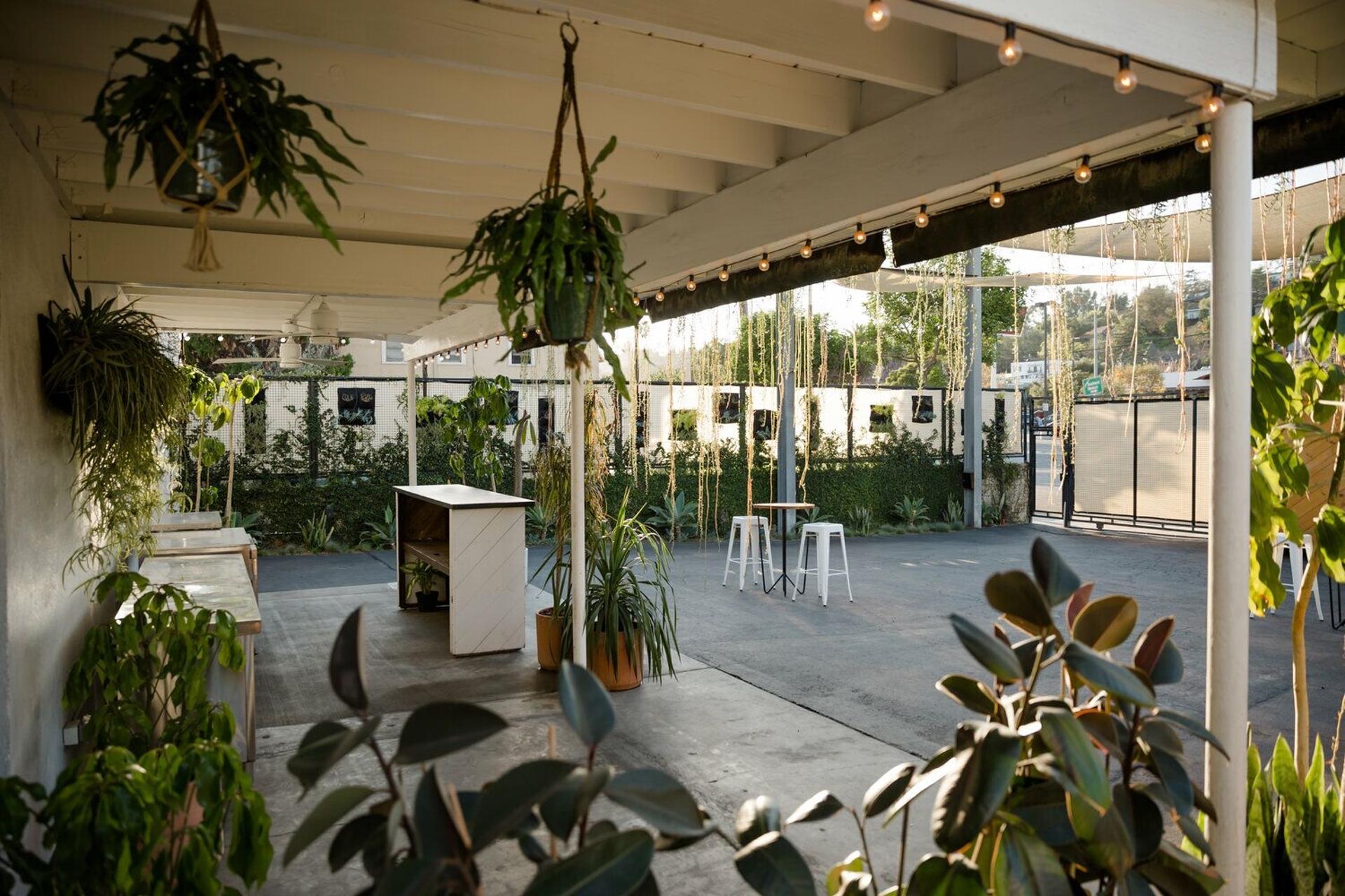 The Garden