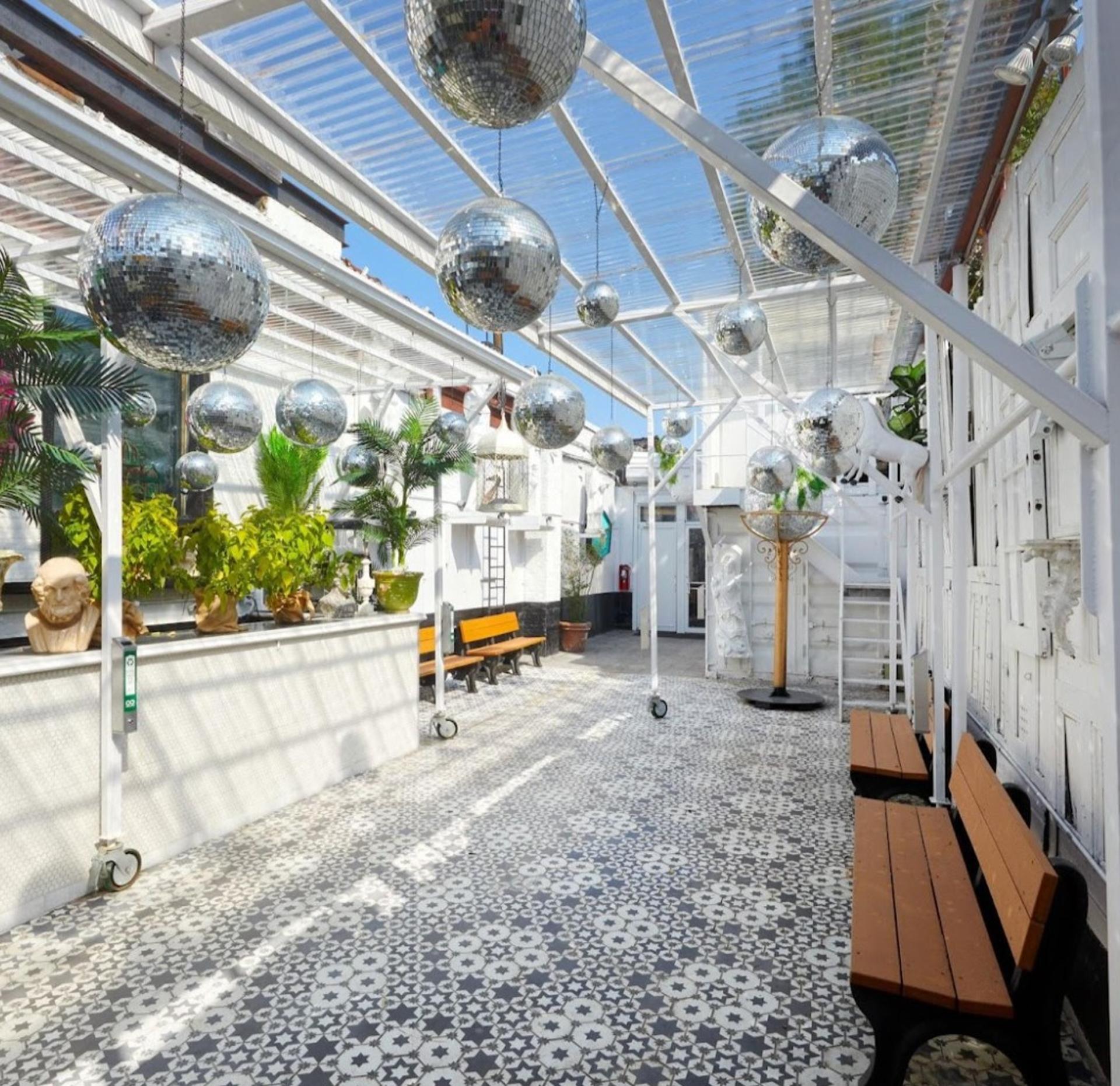 The Garden