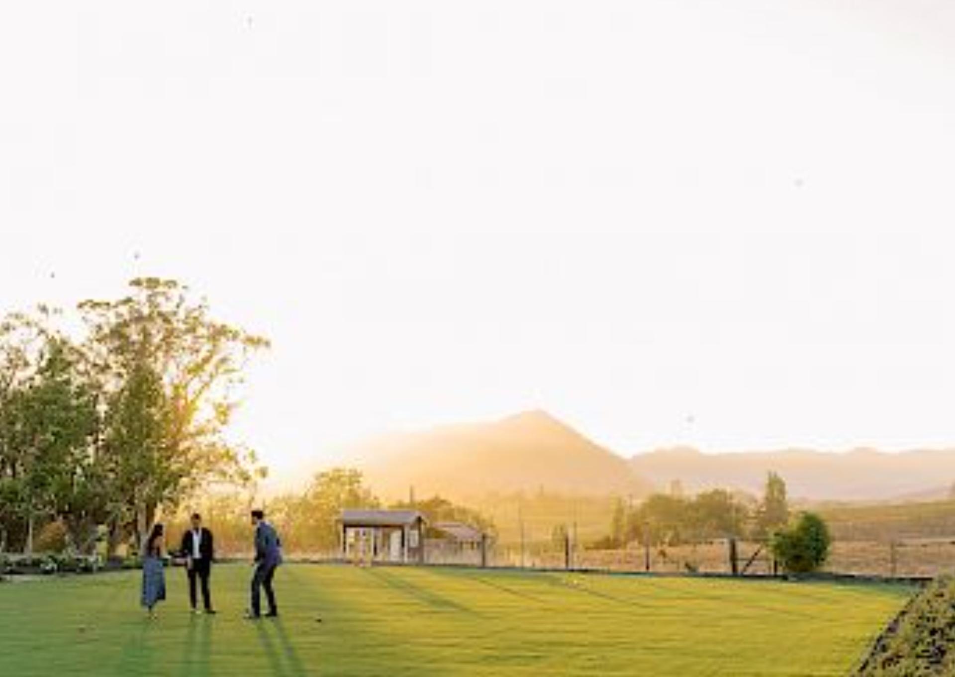 Vineyard Lawn