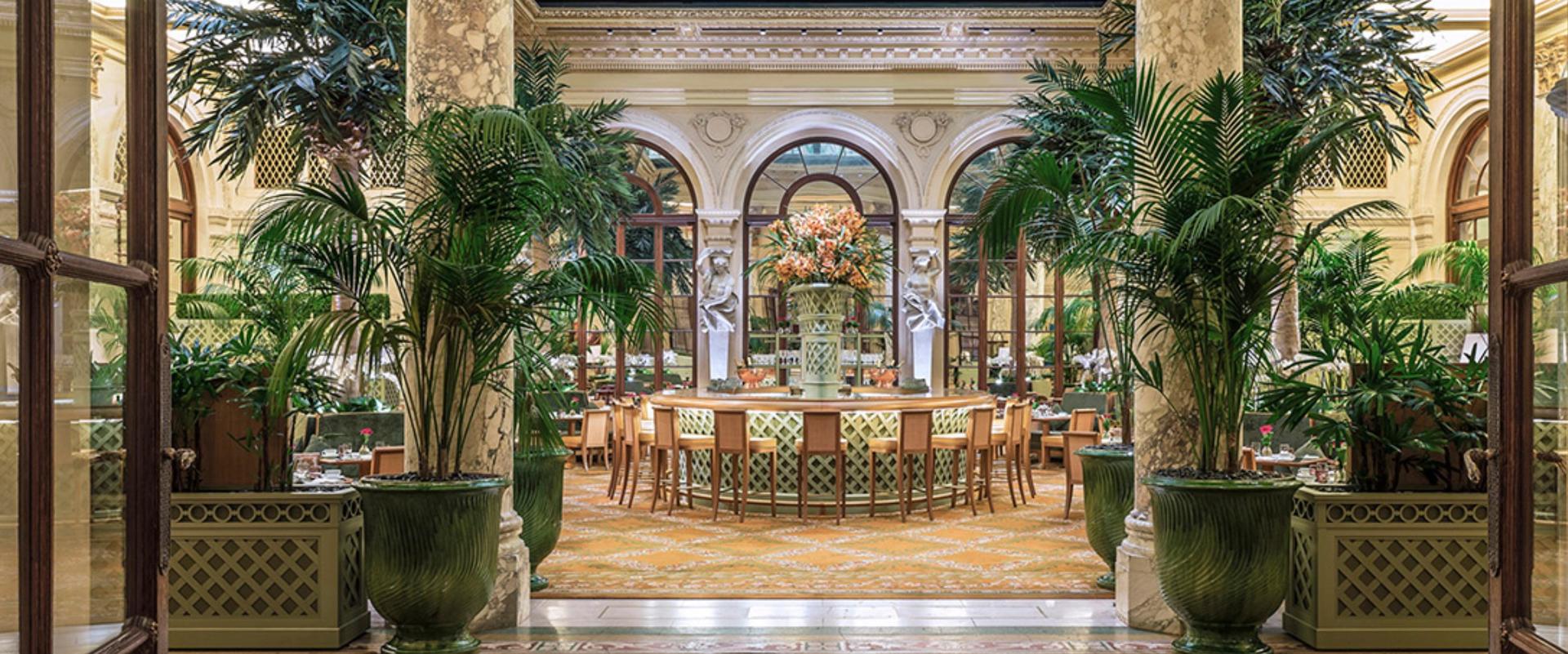 The Palm Court