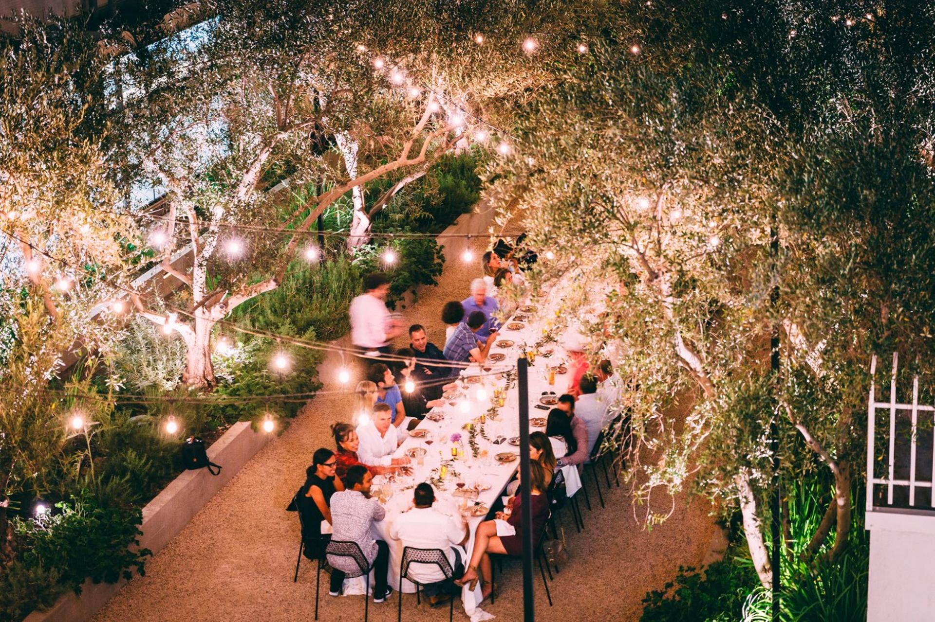 The Garden