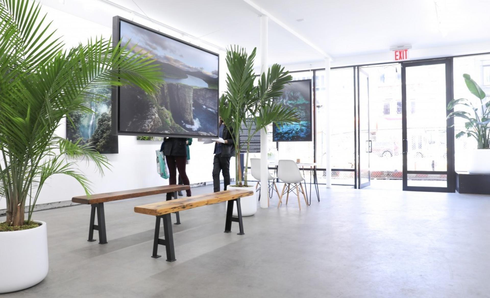 Full Buyout of 213 Bowery