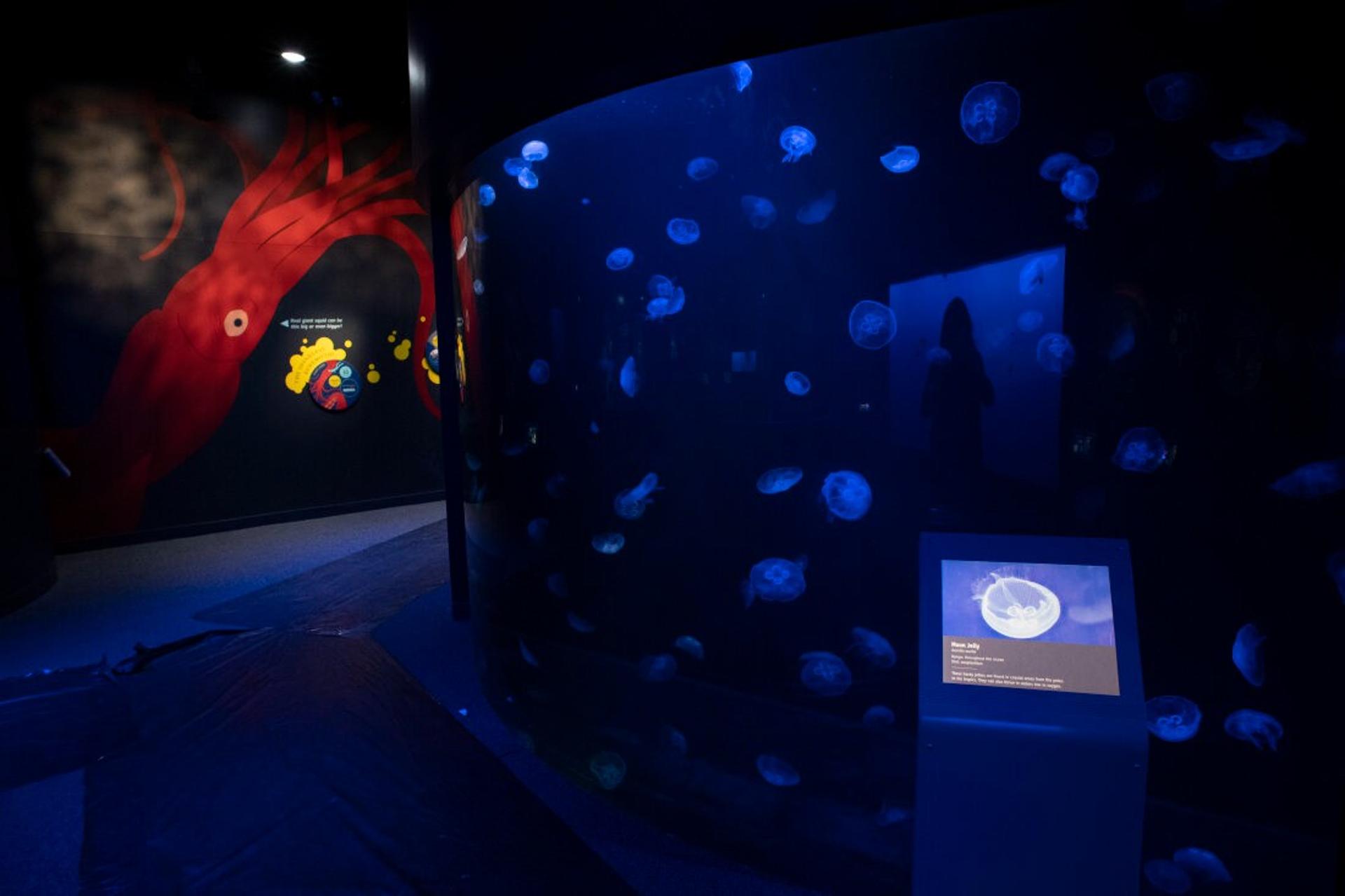 Spineless & PlayQuarium