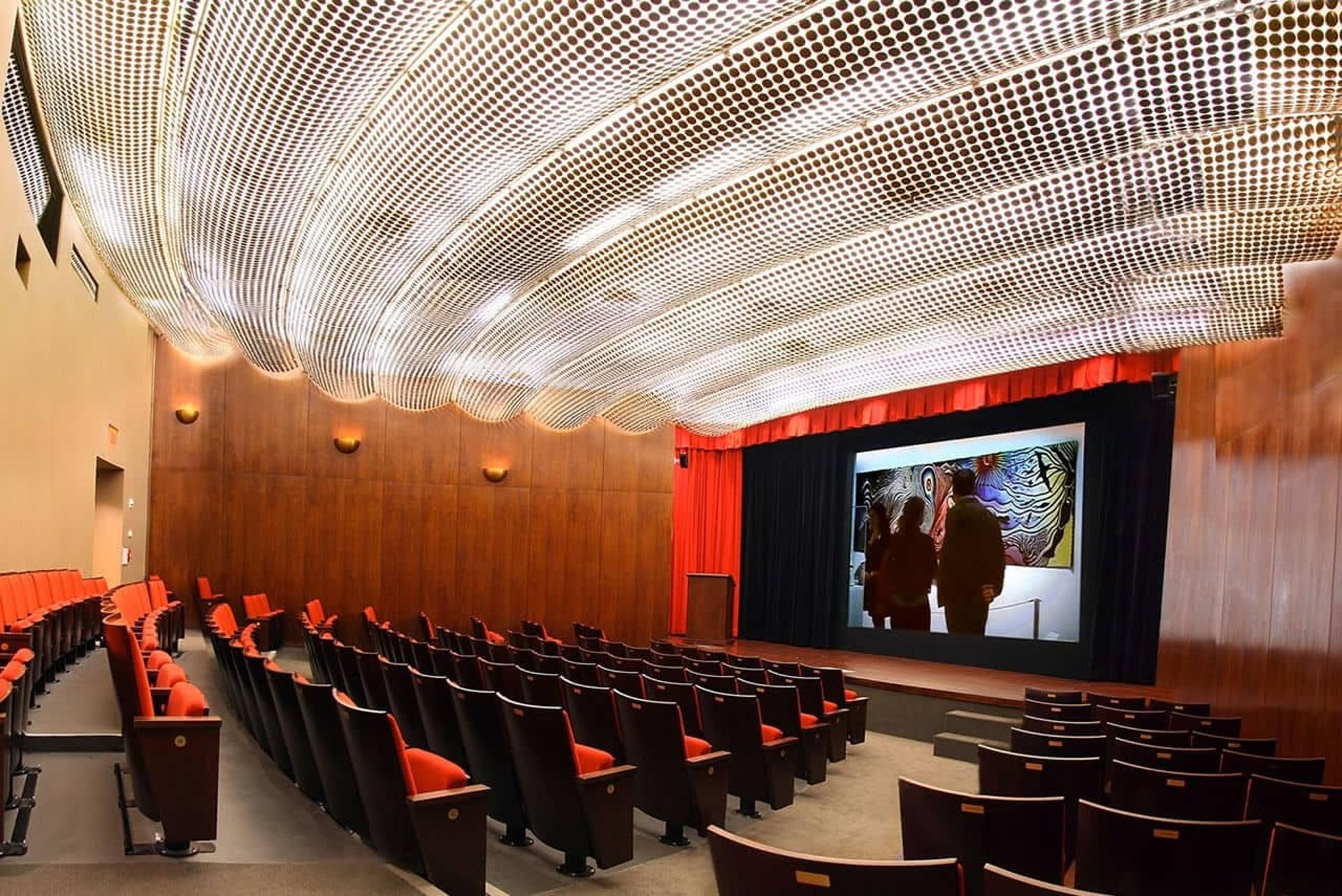 Theater/ Screening Room