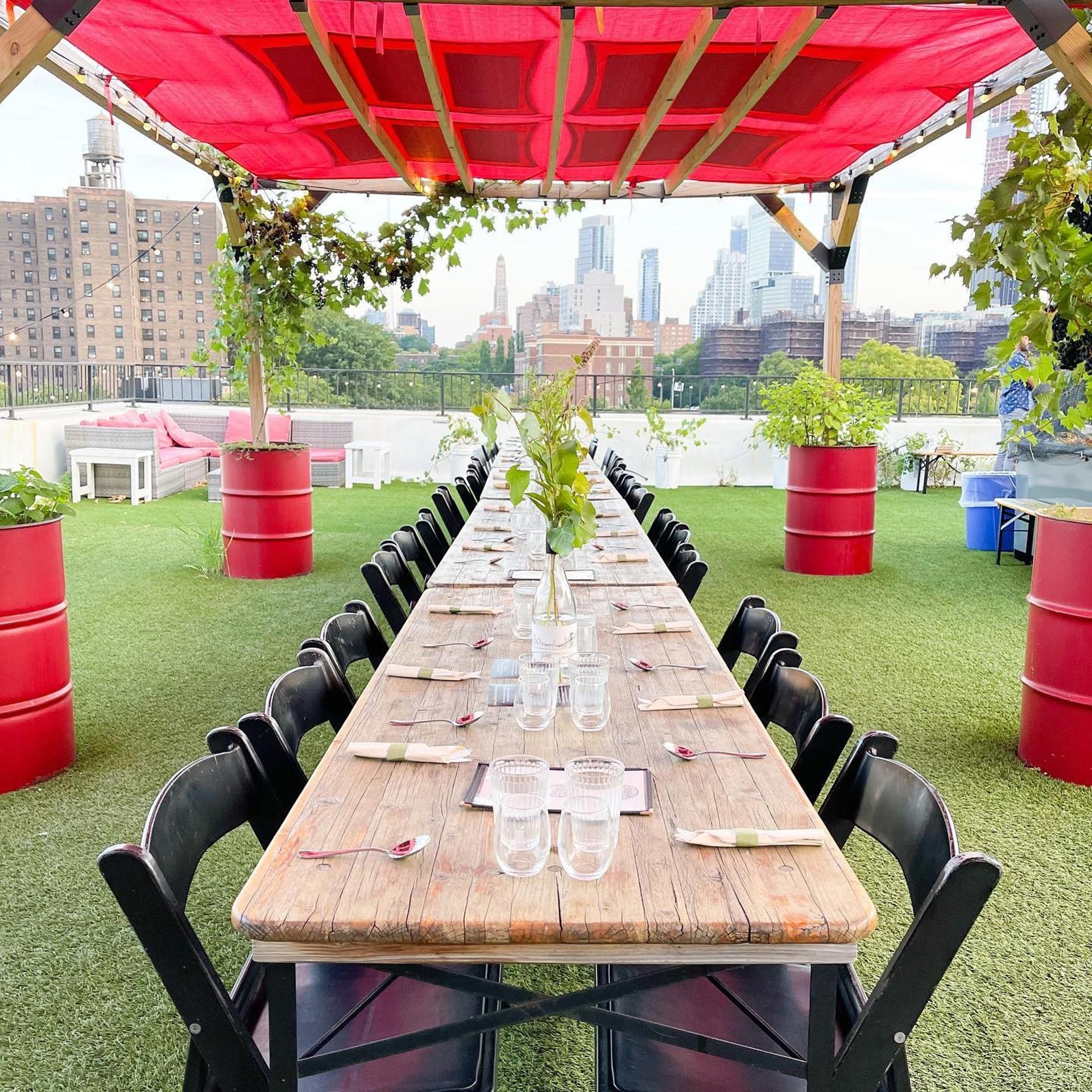 Pergola + South Lawn
