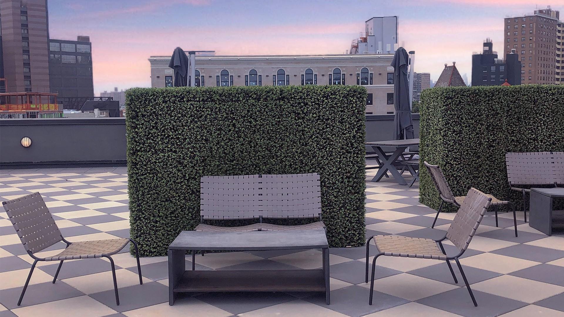 The Rooftop