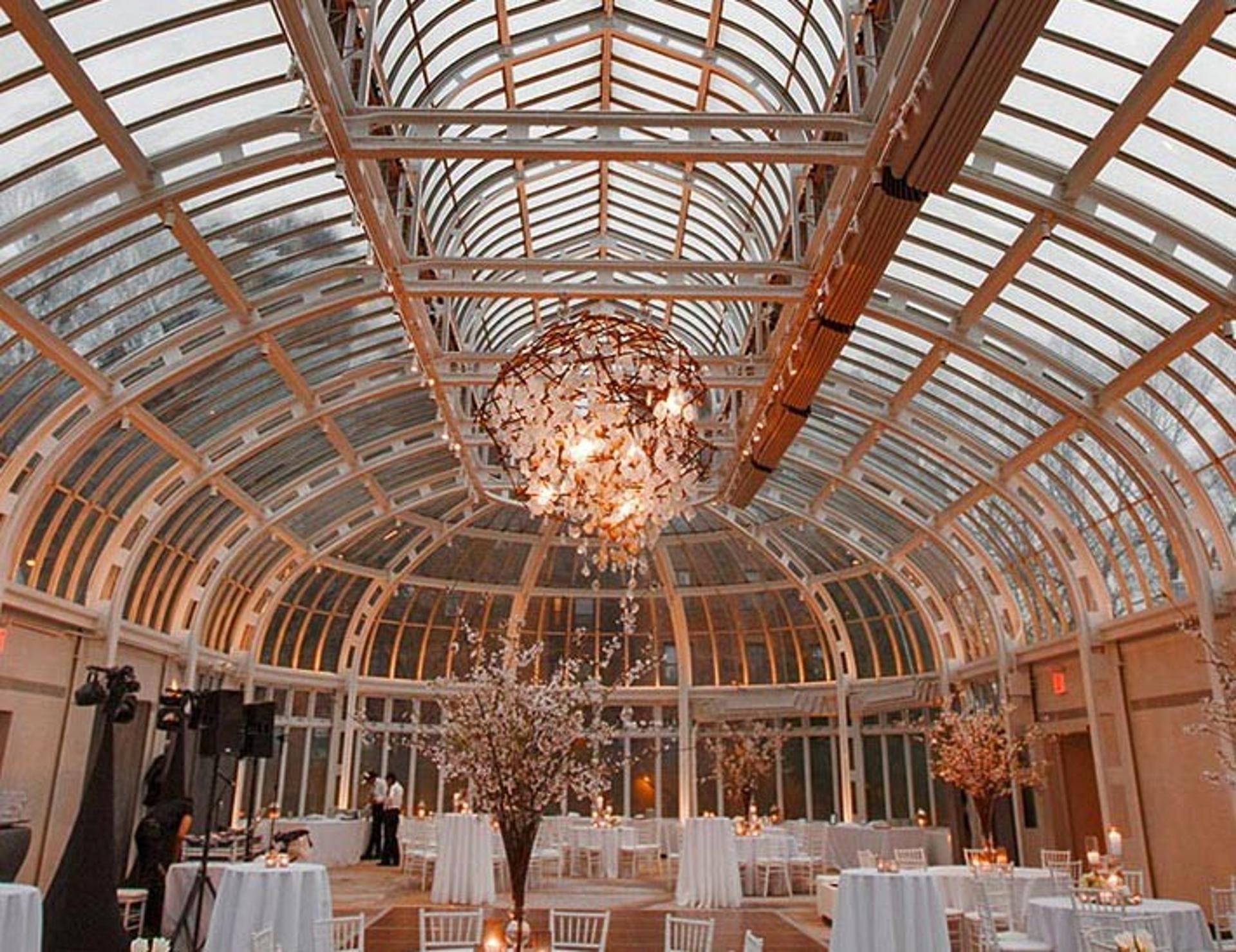 The Palm House