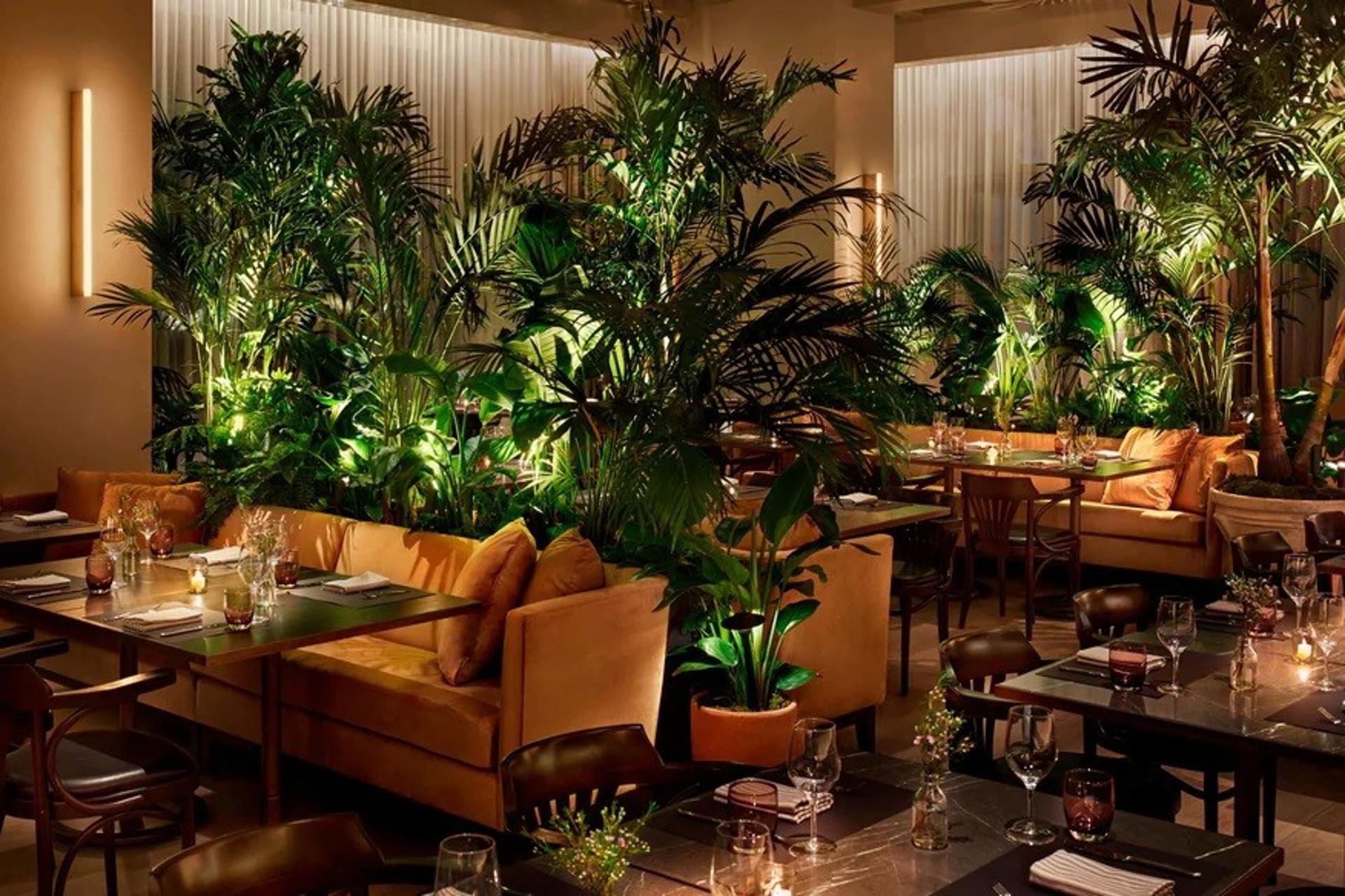 VIP Room 1 + Outdoor Terrace	
