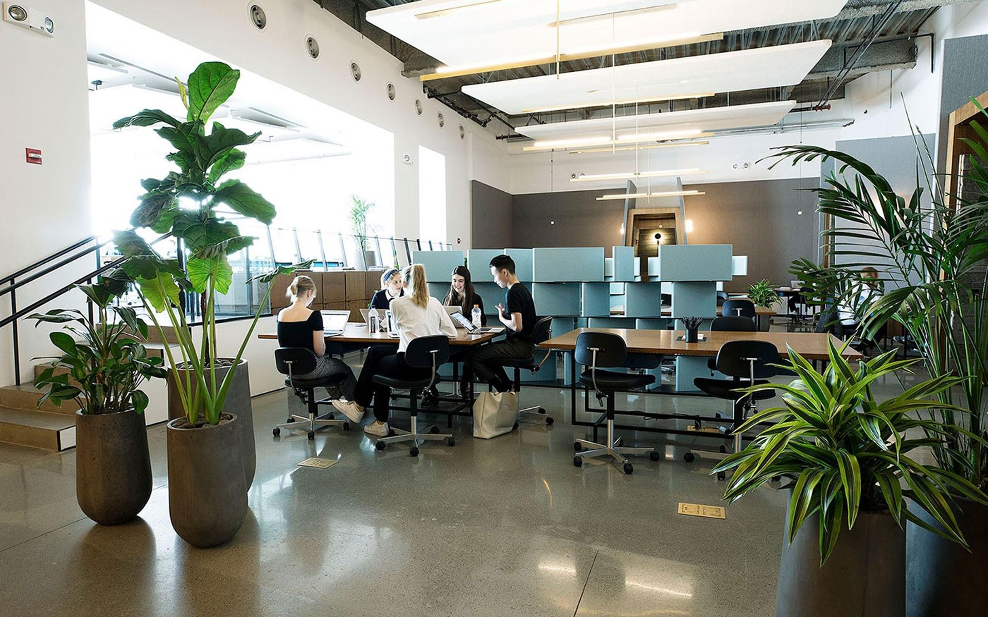 Resident Desks