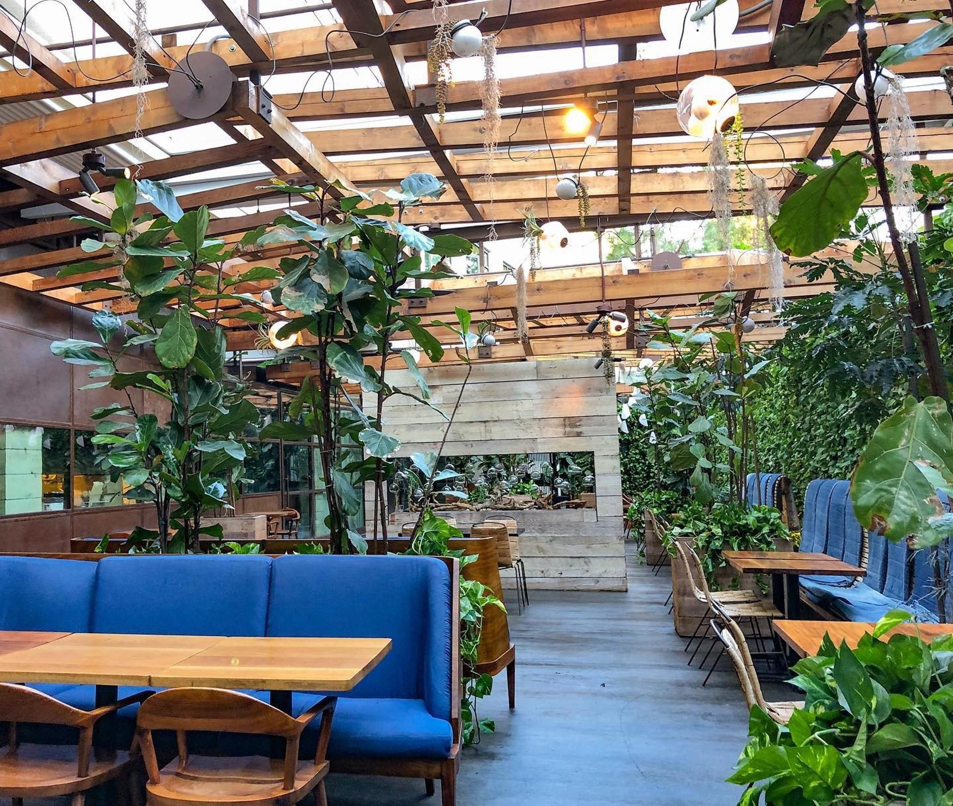 Entire Patio
