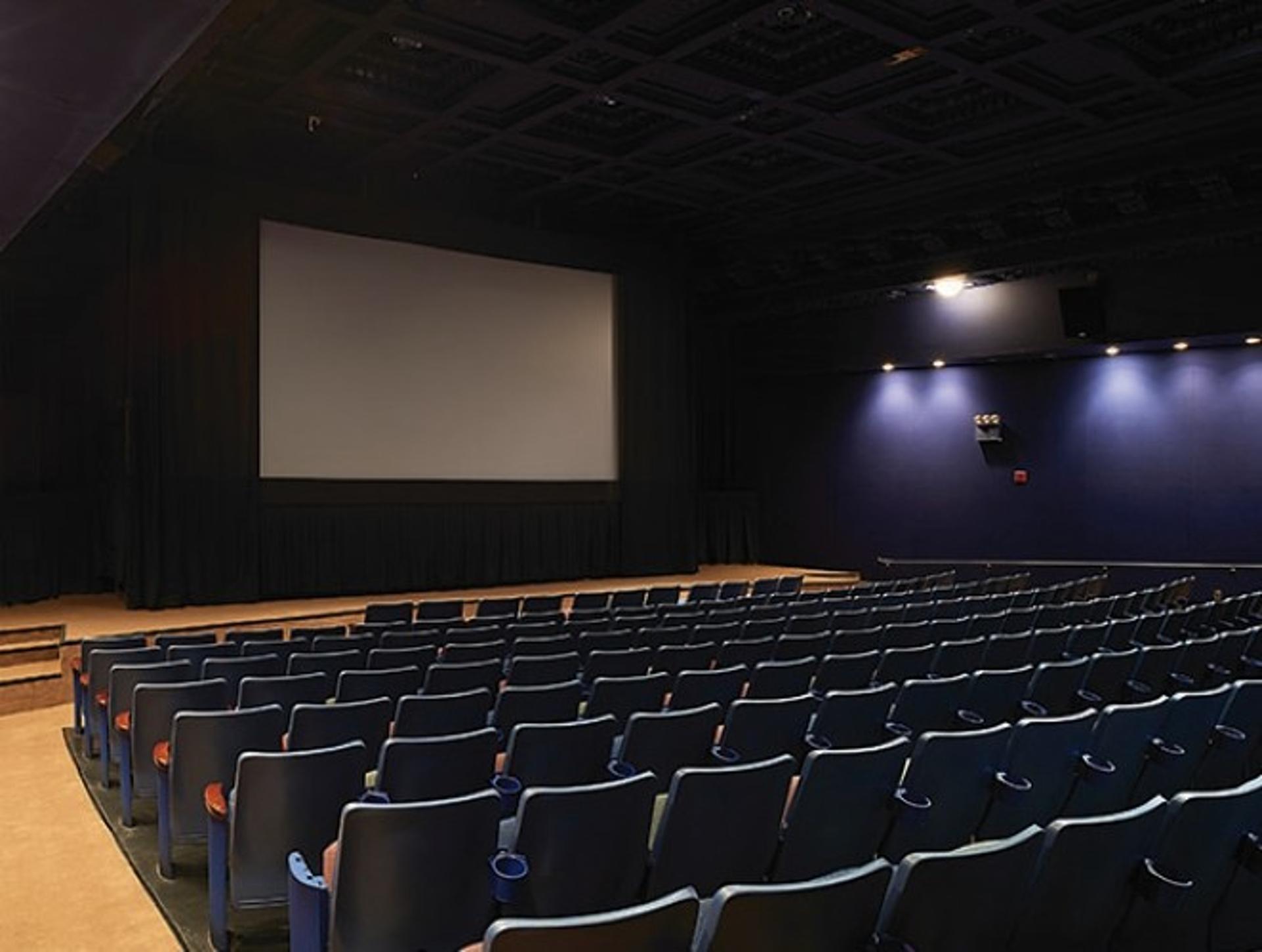 BAM Rose Cinemas