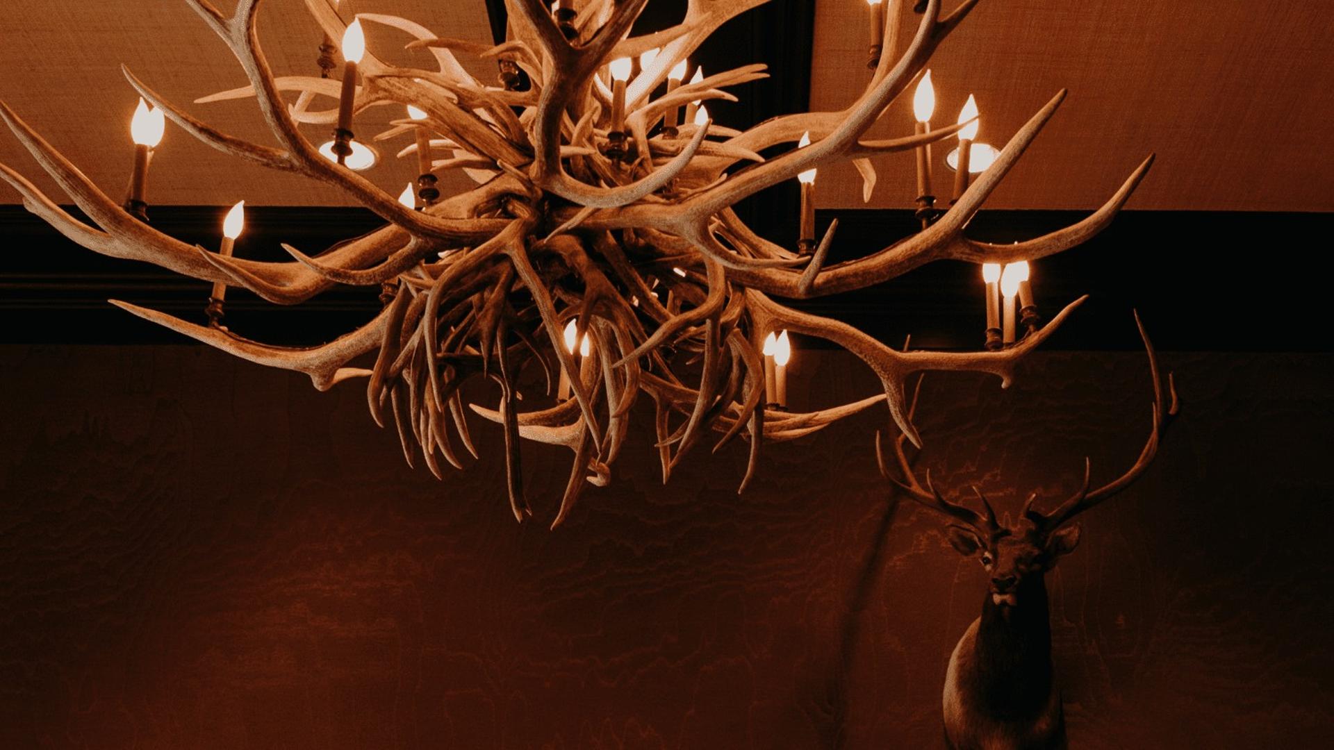 Antler Bar