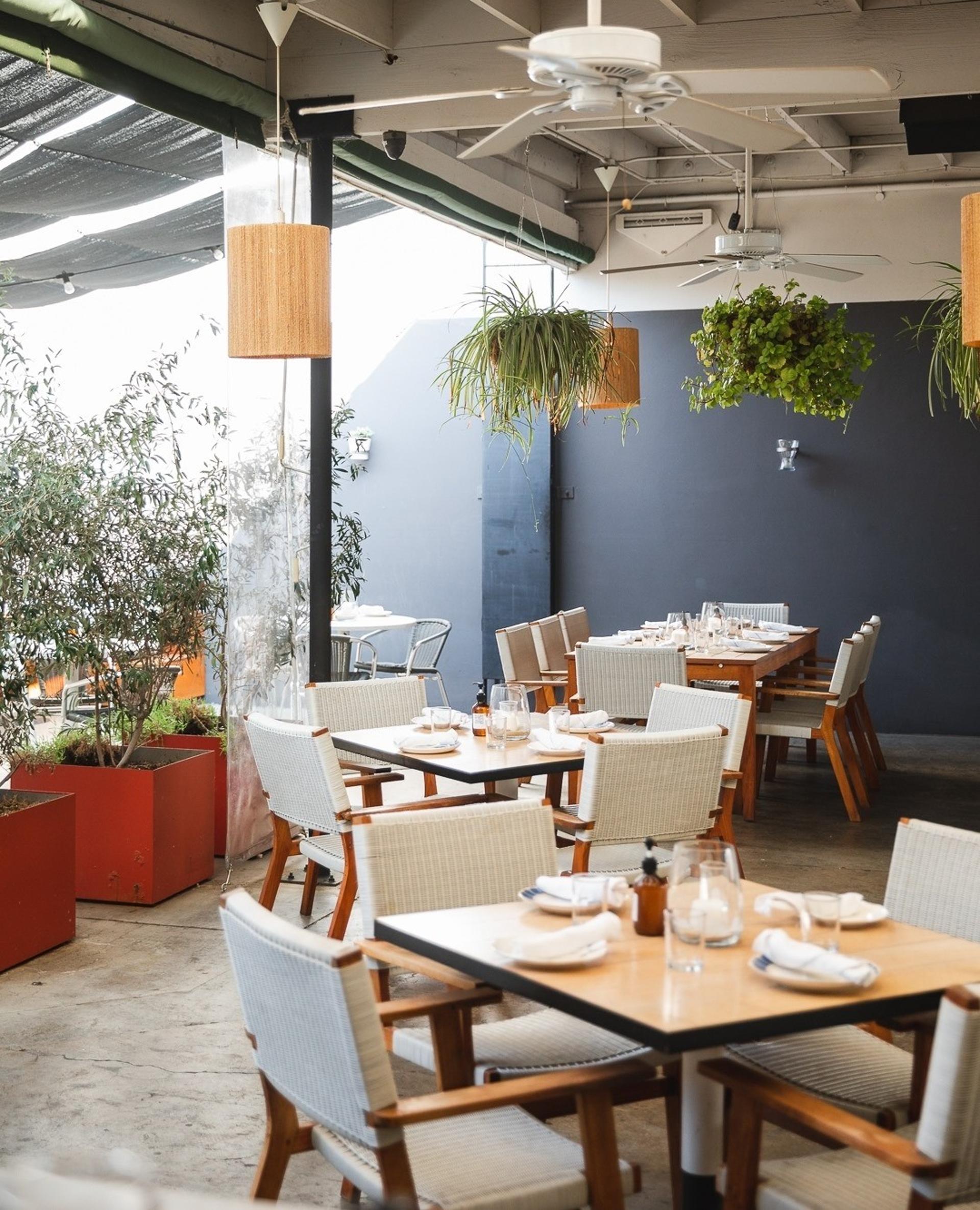 Patio Garden