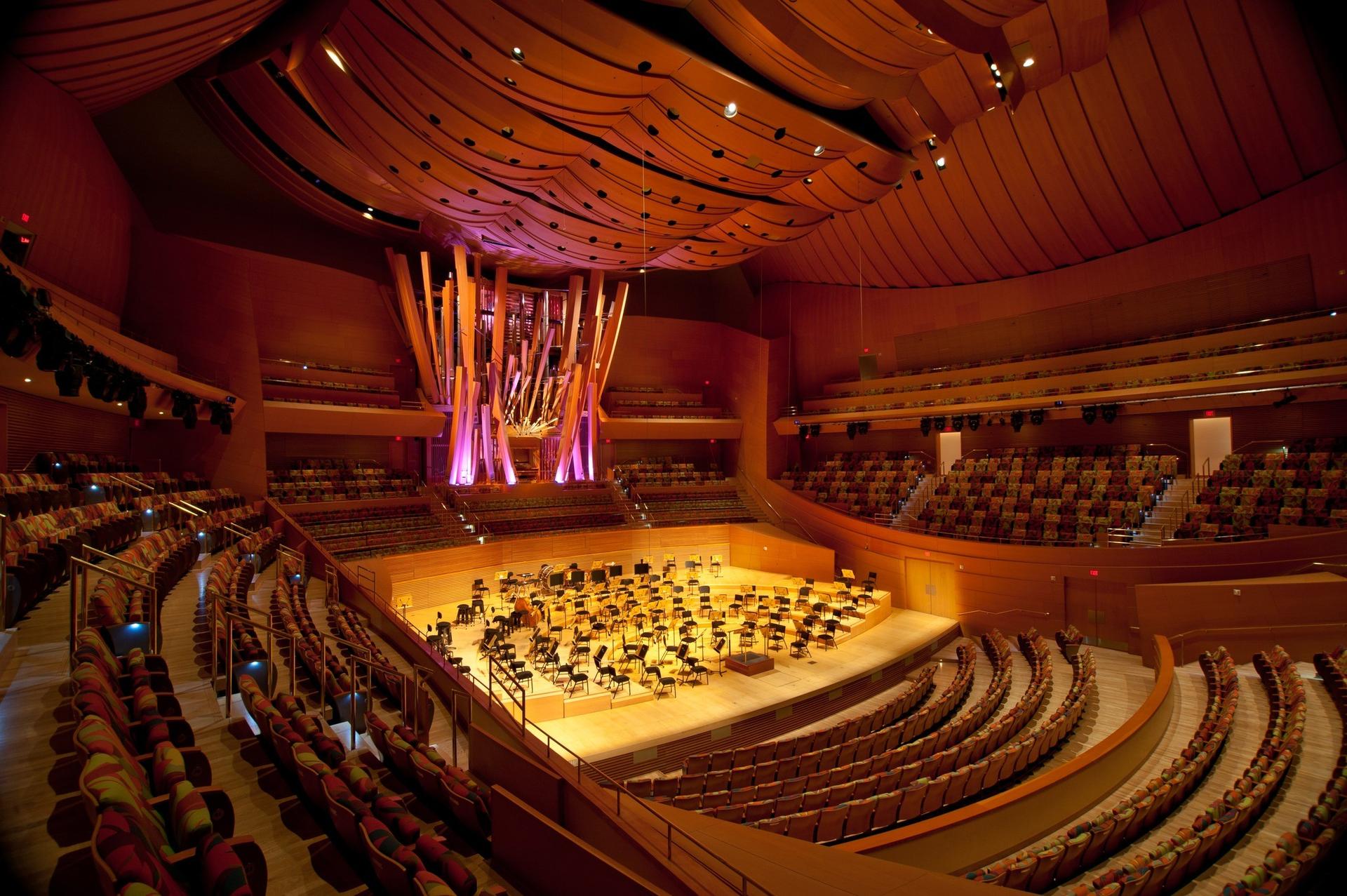 The Auditorium