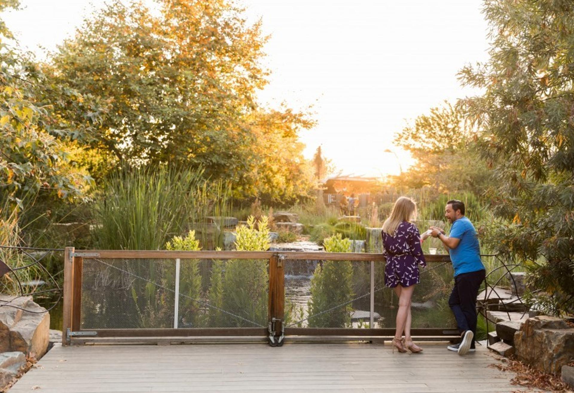 The Pond and Pollinator Garden