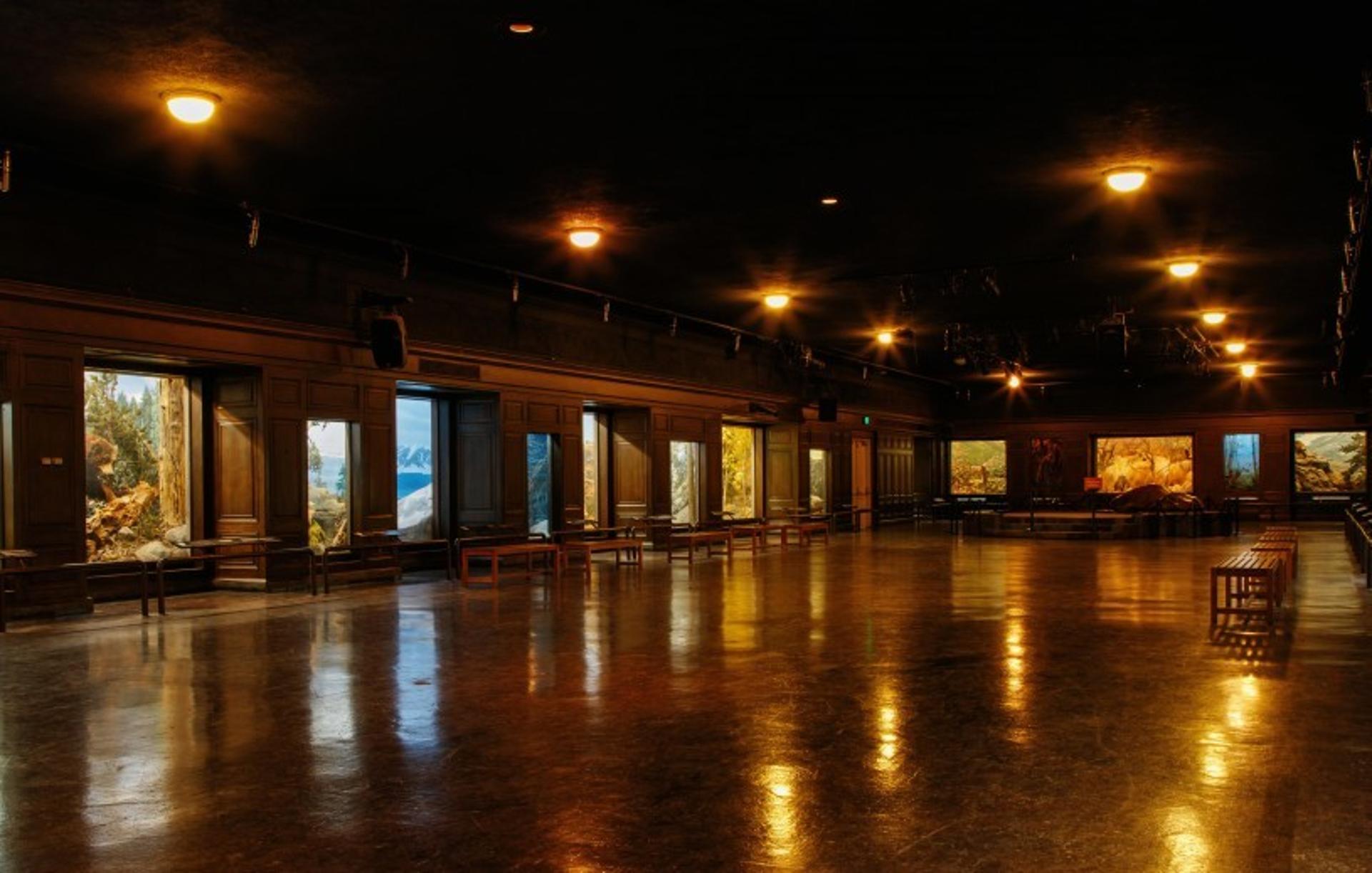 North American Mammal Hall (Level 2)