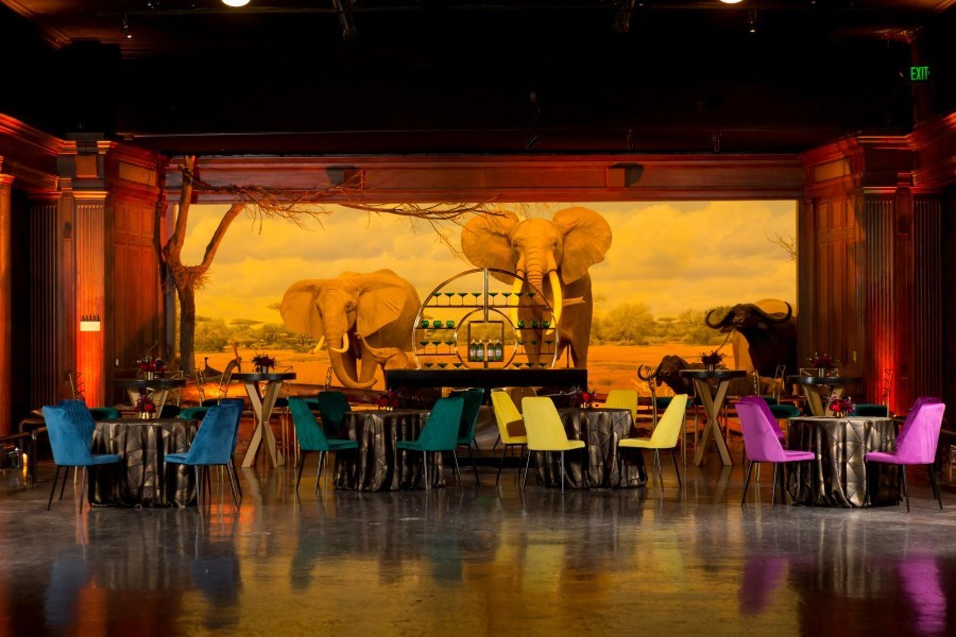 African Mammal Hall