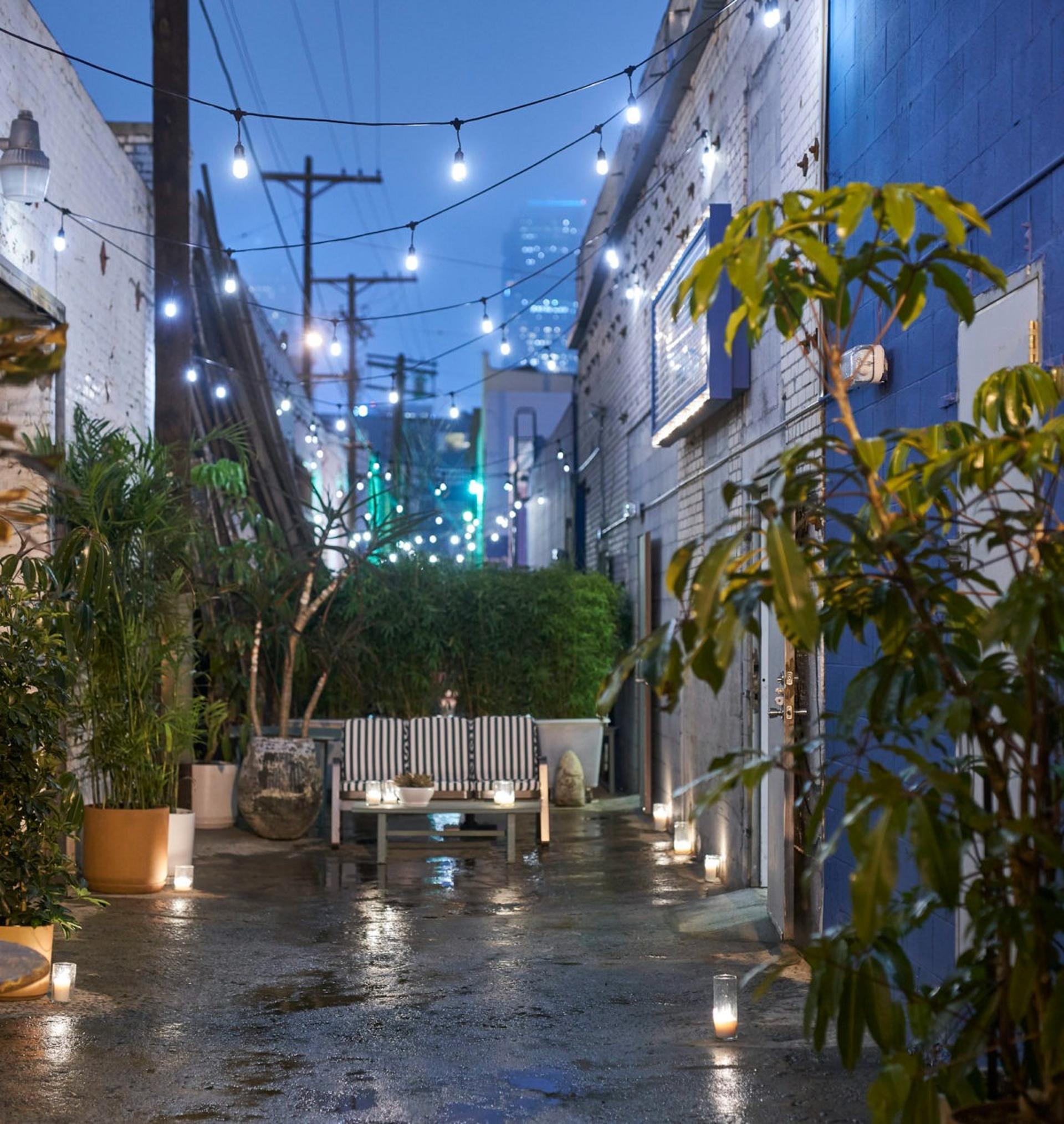 Back Alley Lounge 