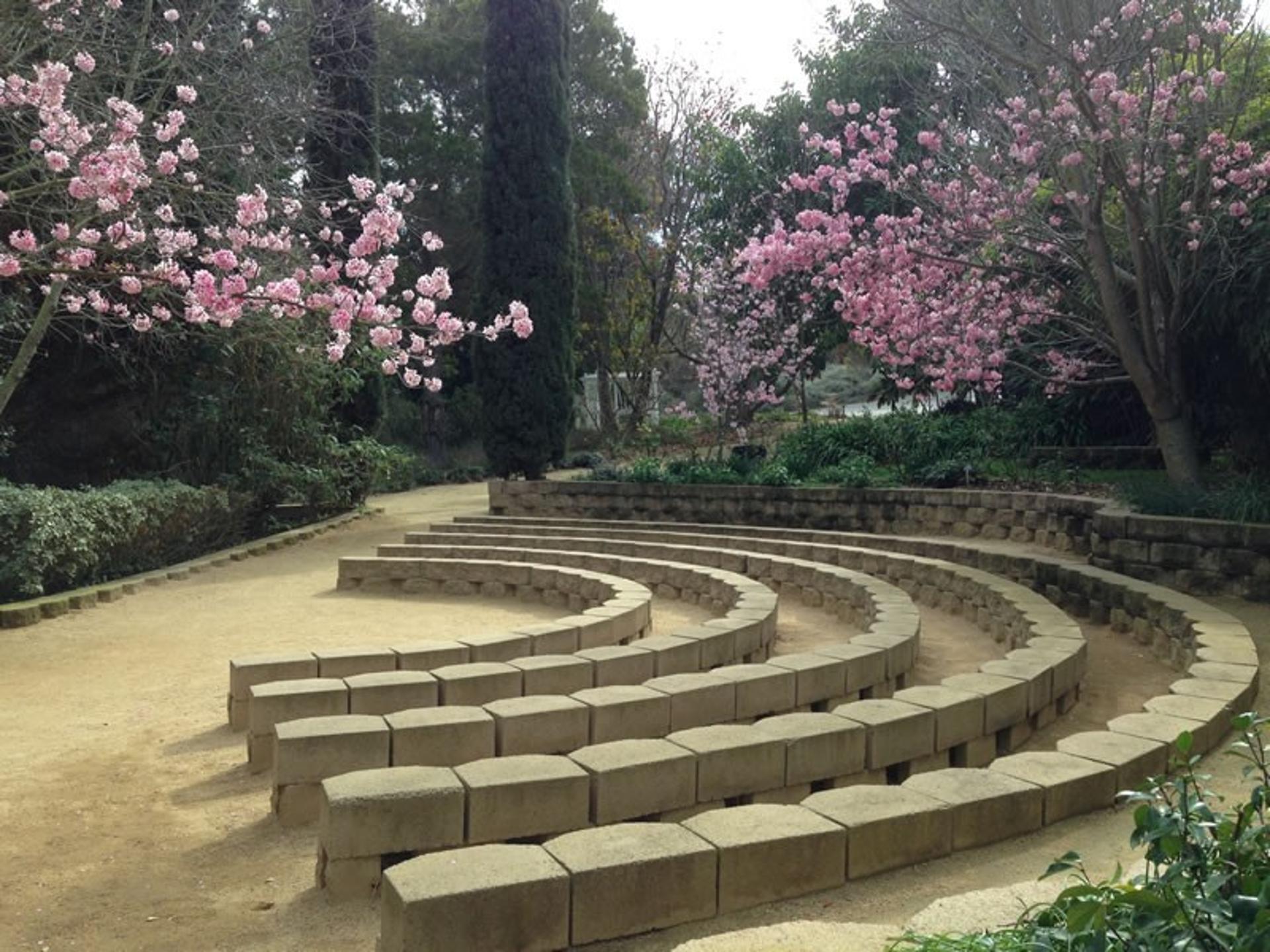 Amphitheater