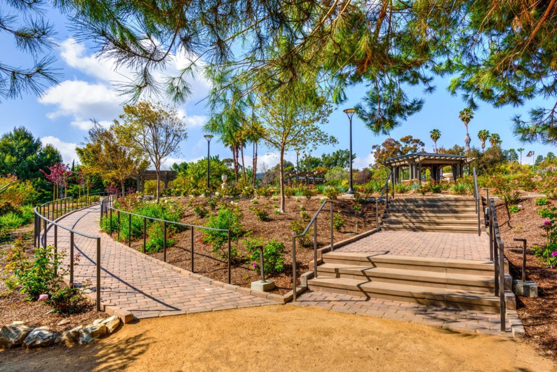 The Rose Garden