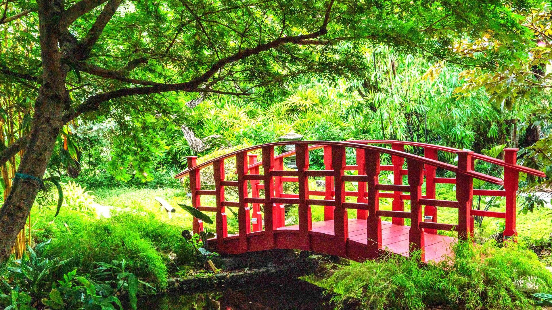 Japanese Garden