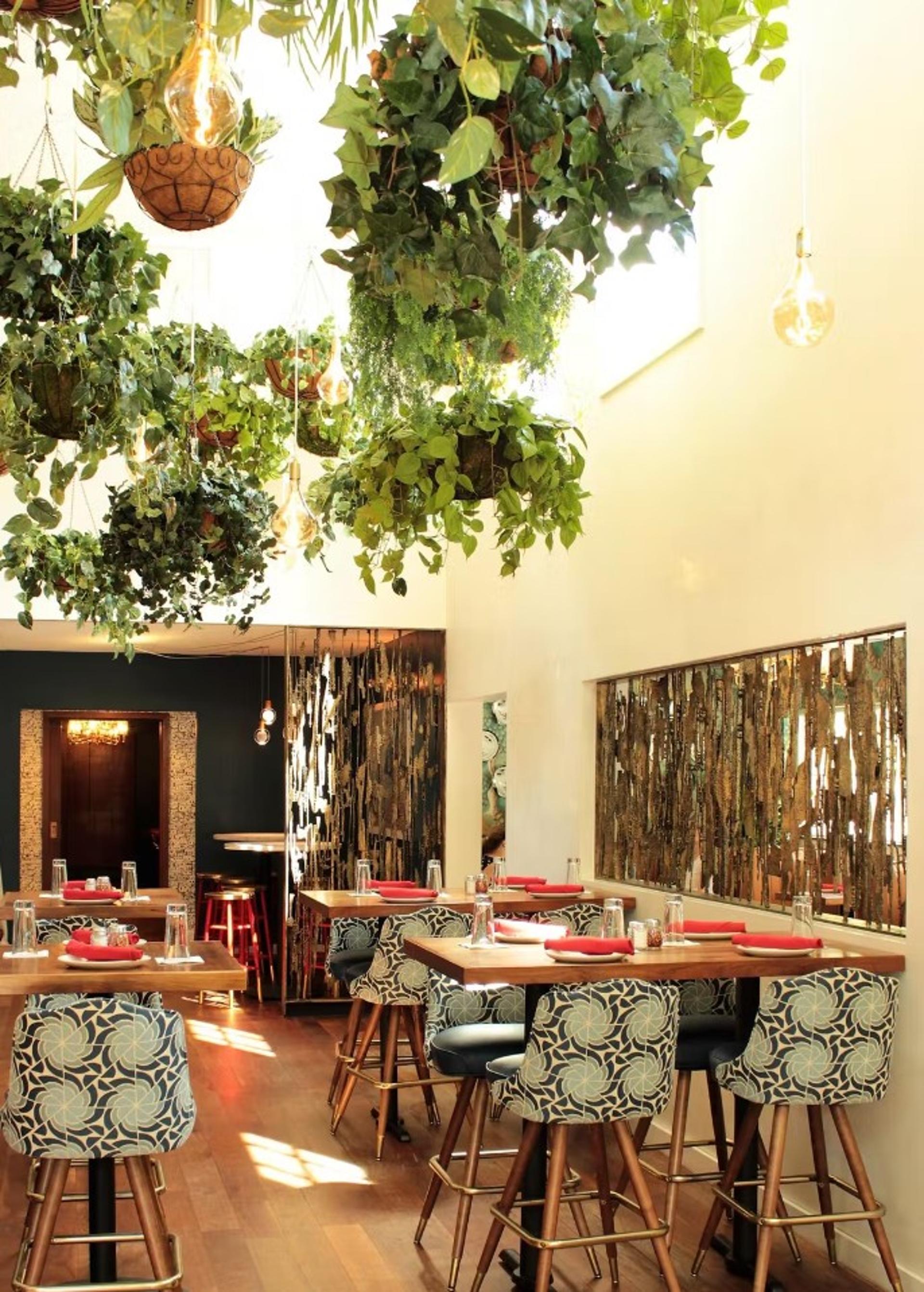 Full Restaurant