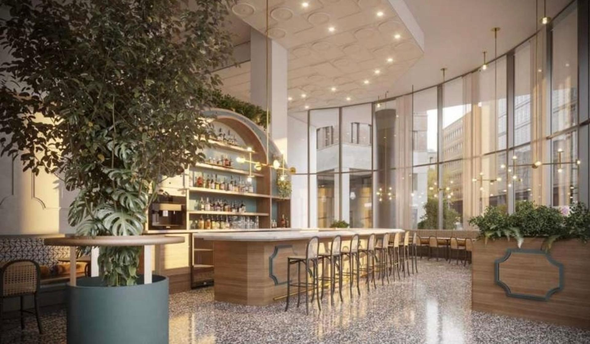 Lounge and Live Tree