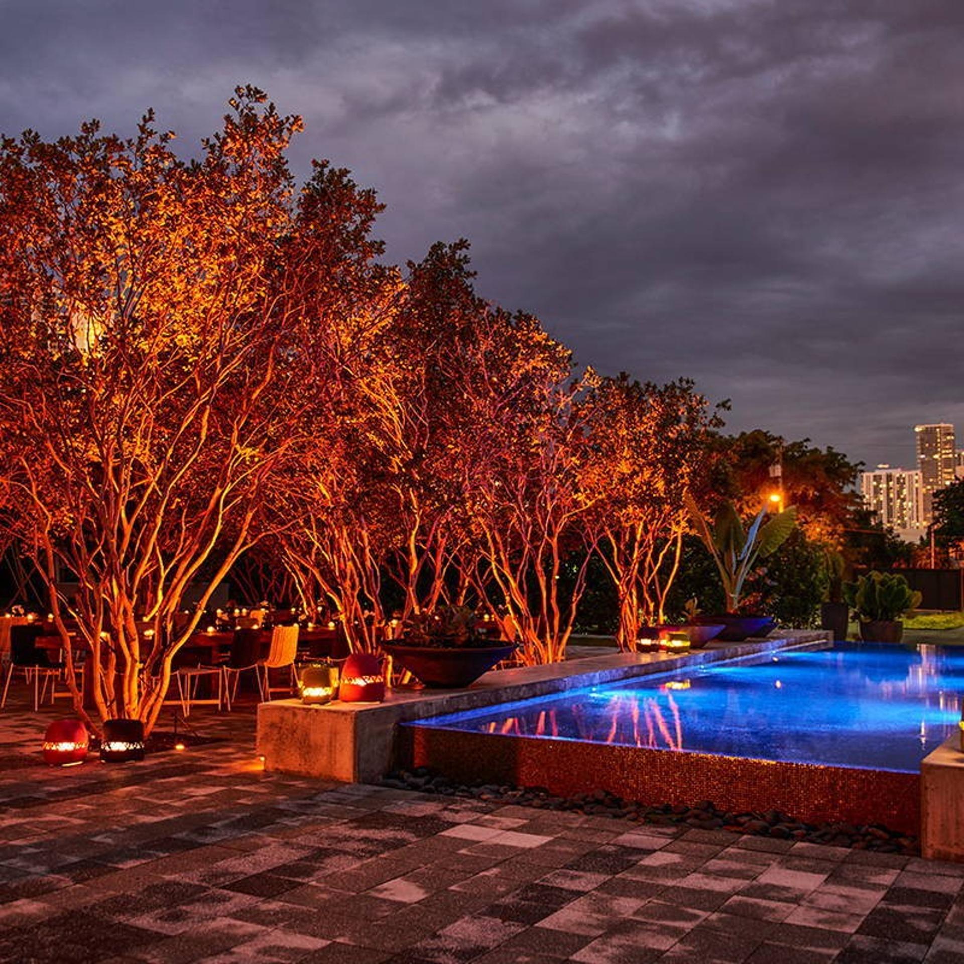 Outdoor Garden