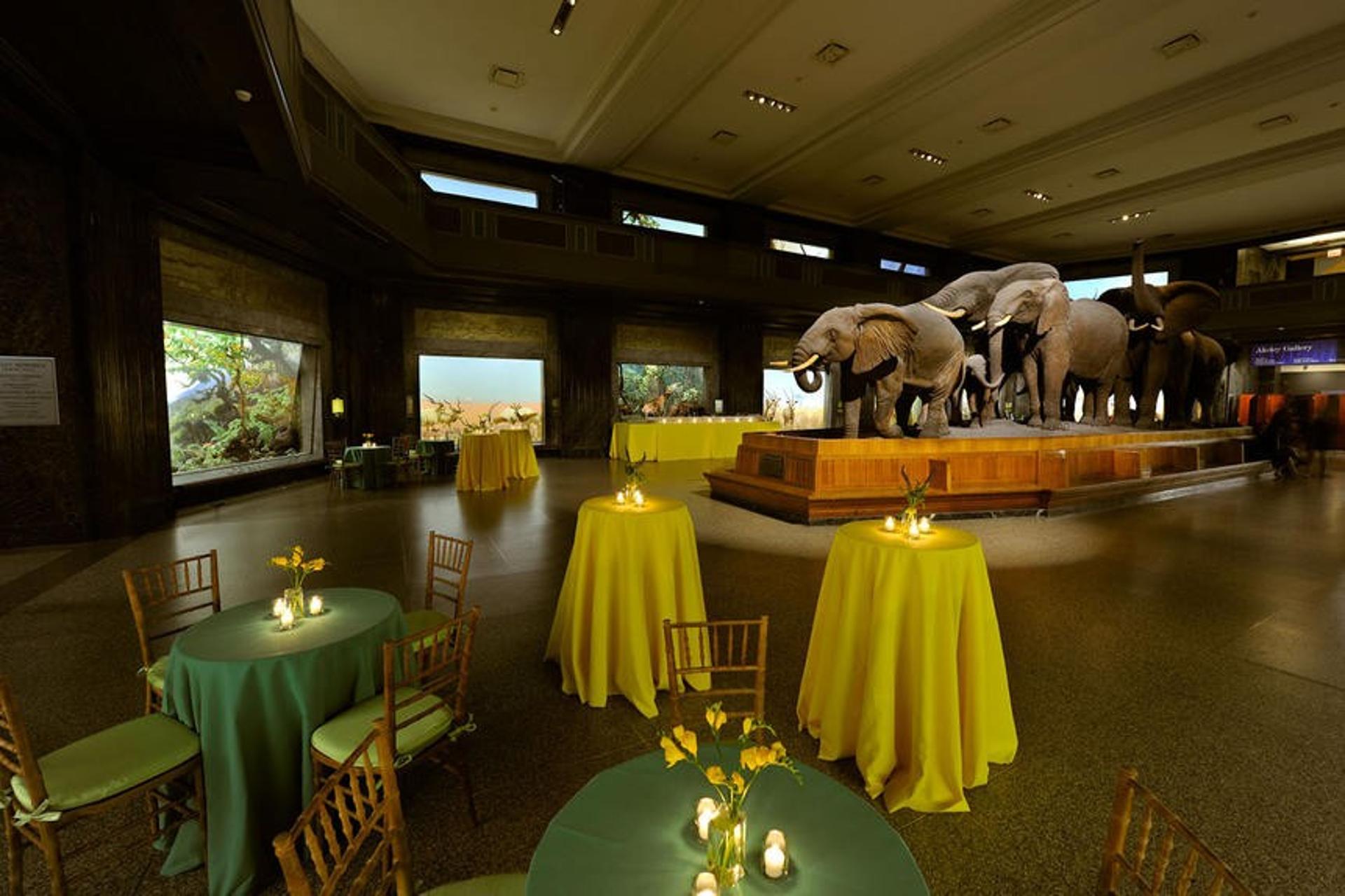 Akeley Hall of African Mammals