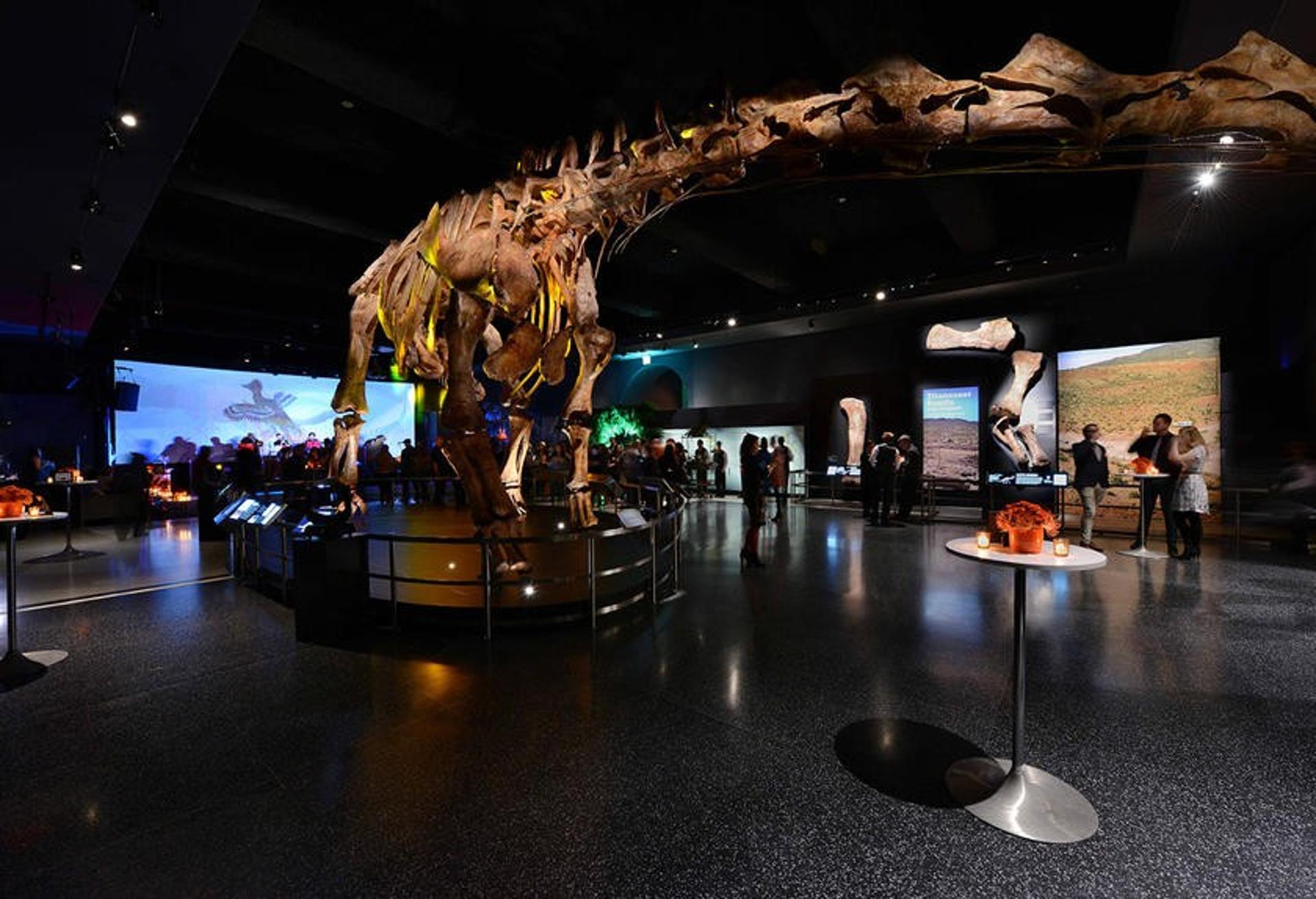 Fossil Halls