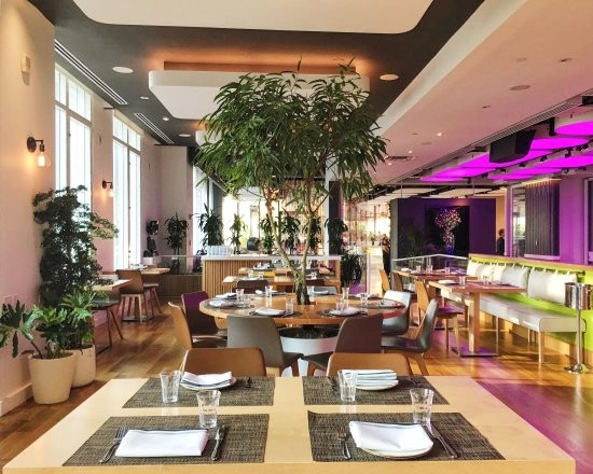 Green Lounge 