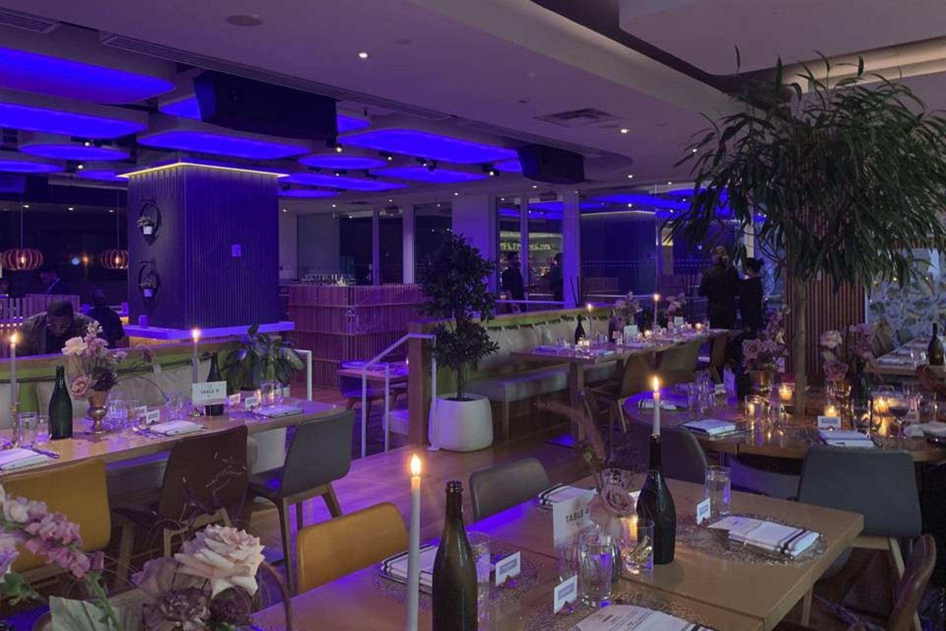 Purple Lounge