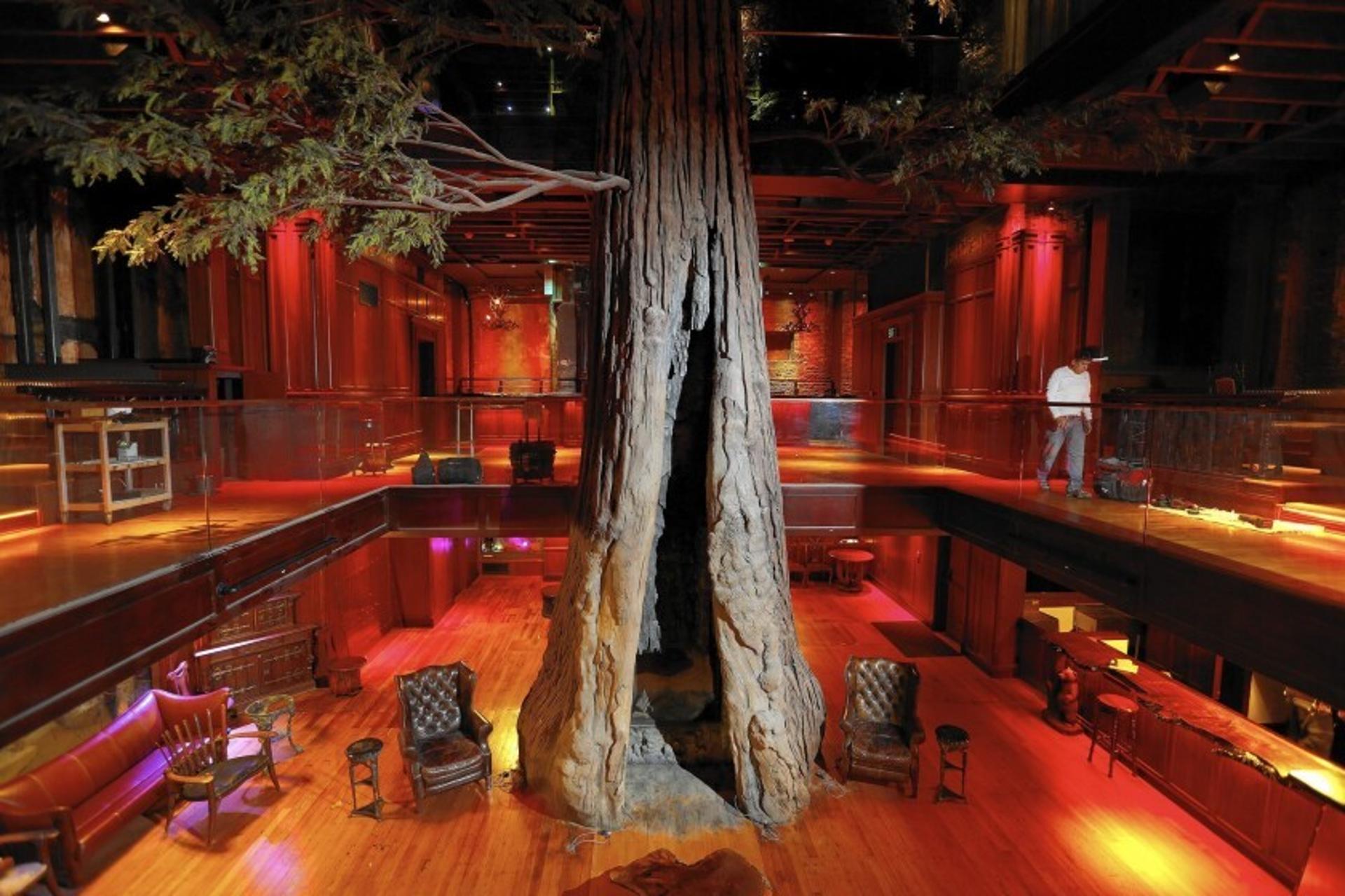 Tree Tops