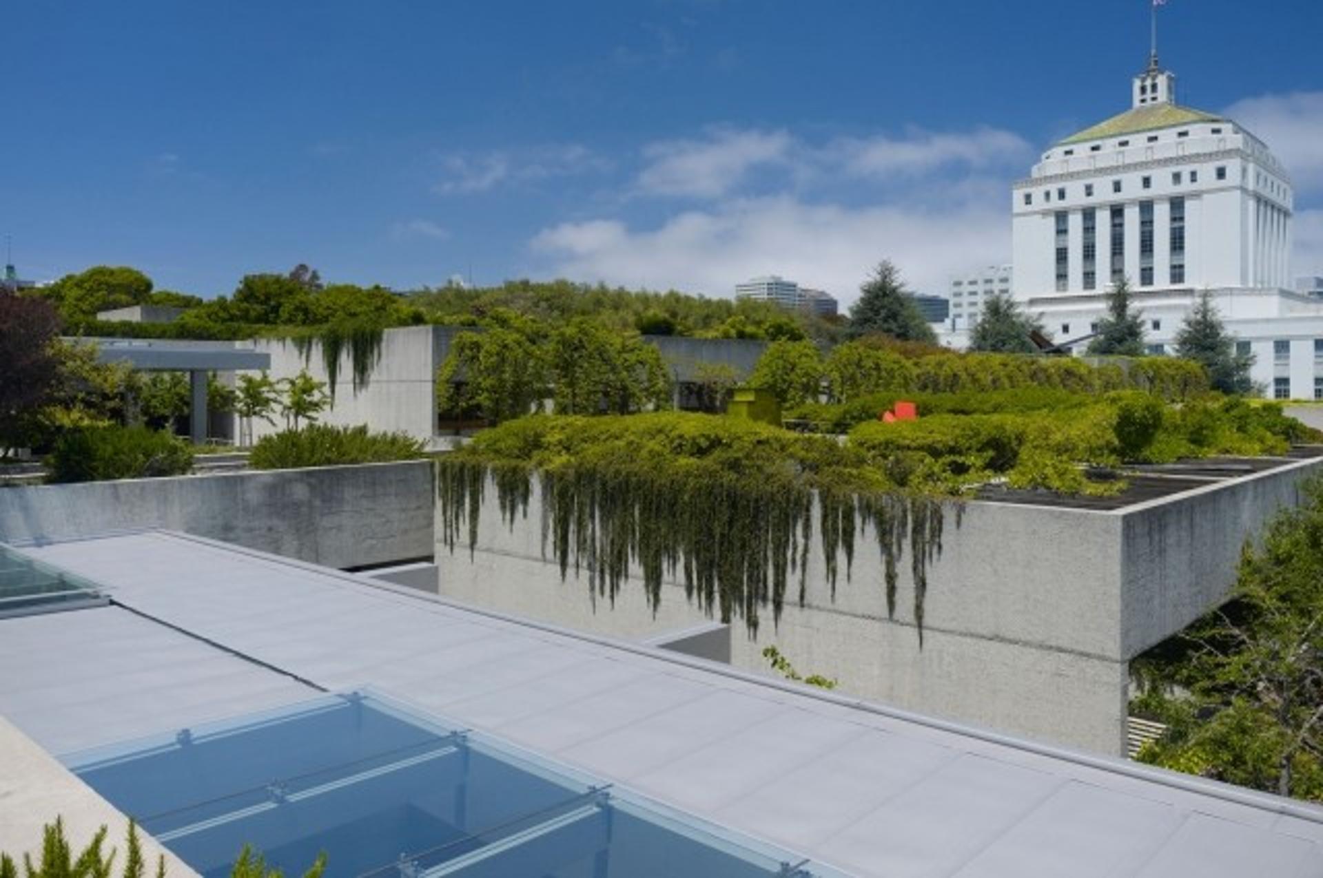 OMCA Garden