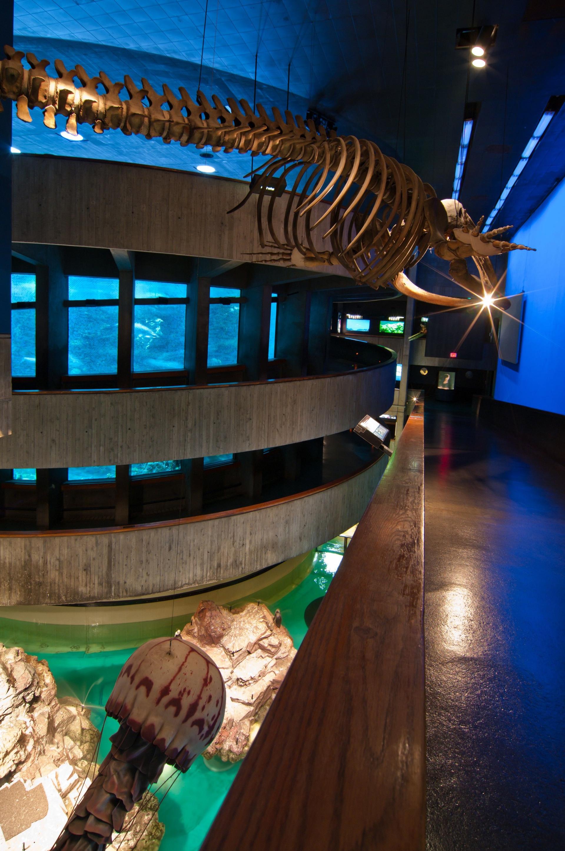 Main Exhibit Gallery
