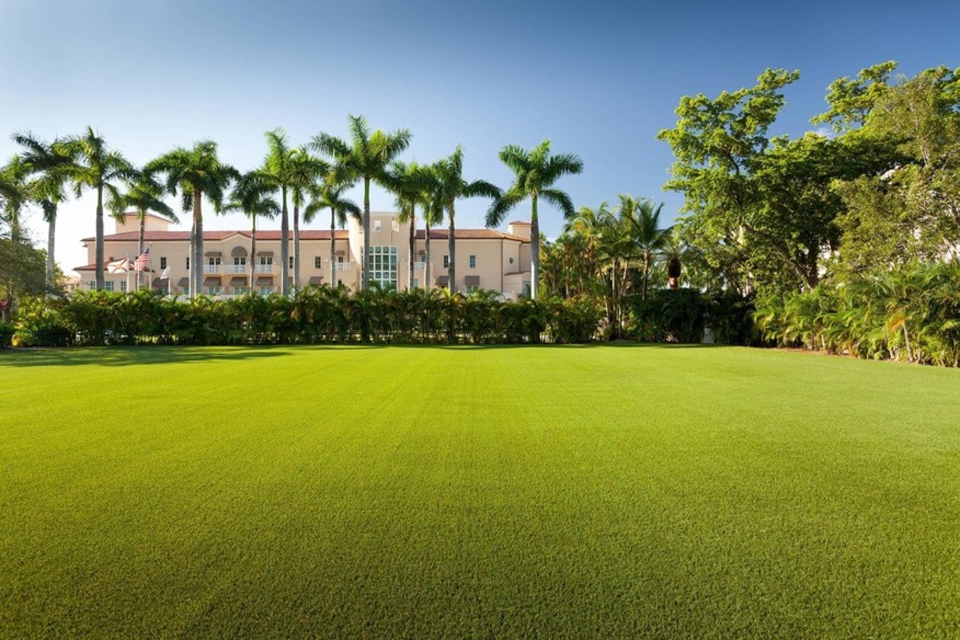 Palm Court