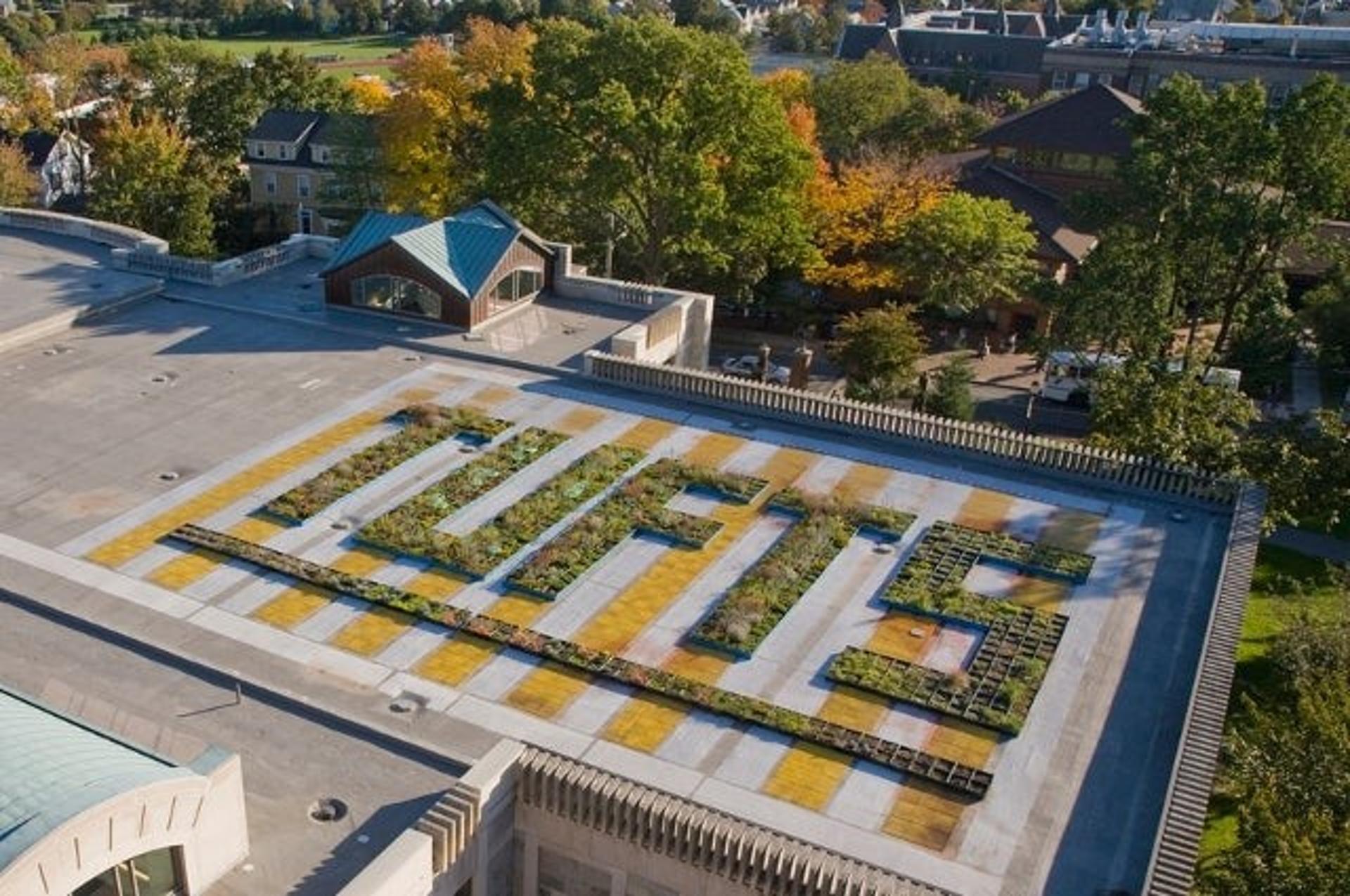 Roof of Tisch Library