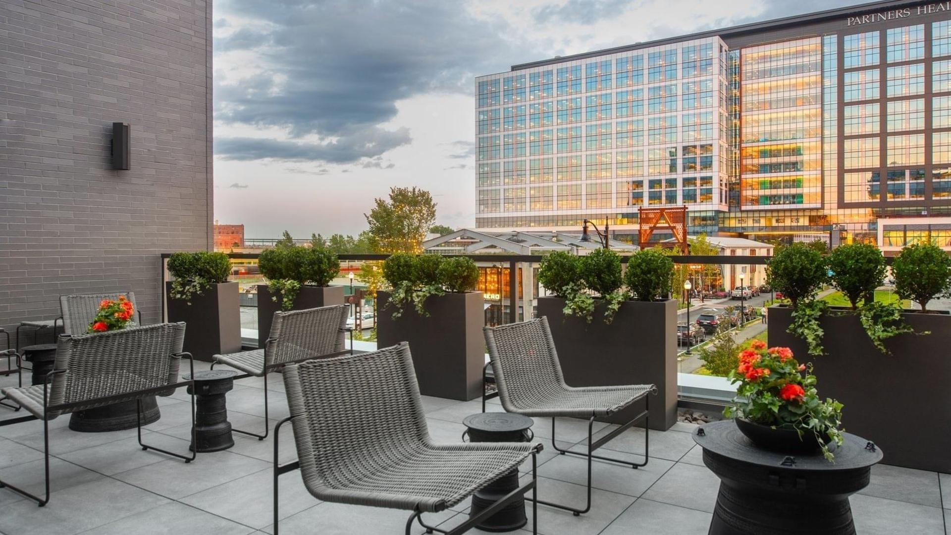 The Terrace