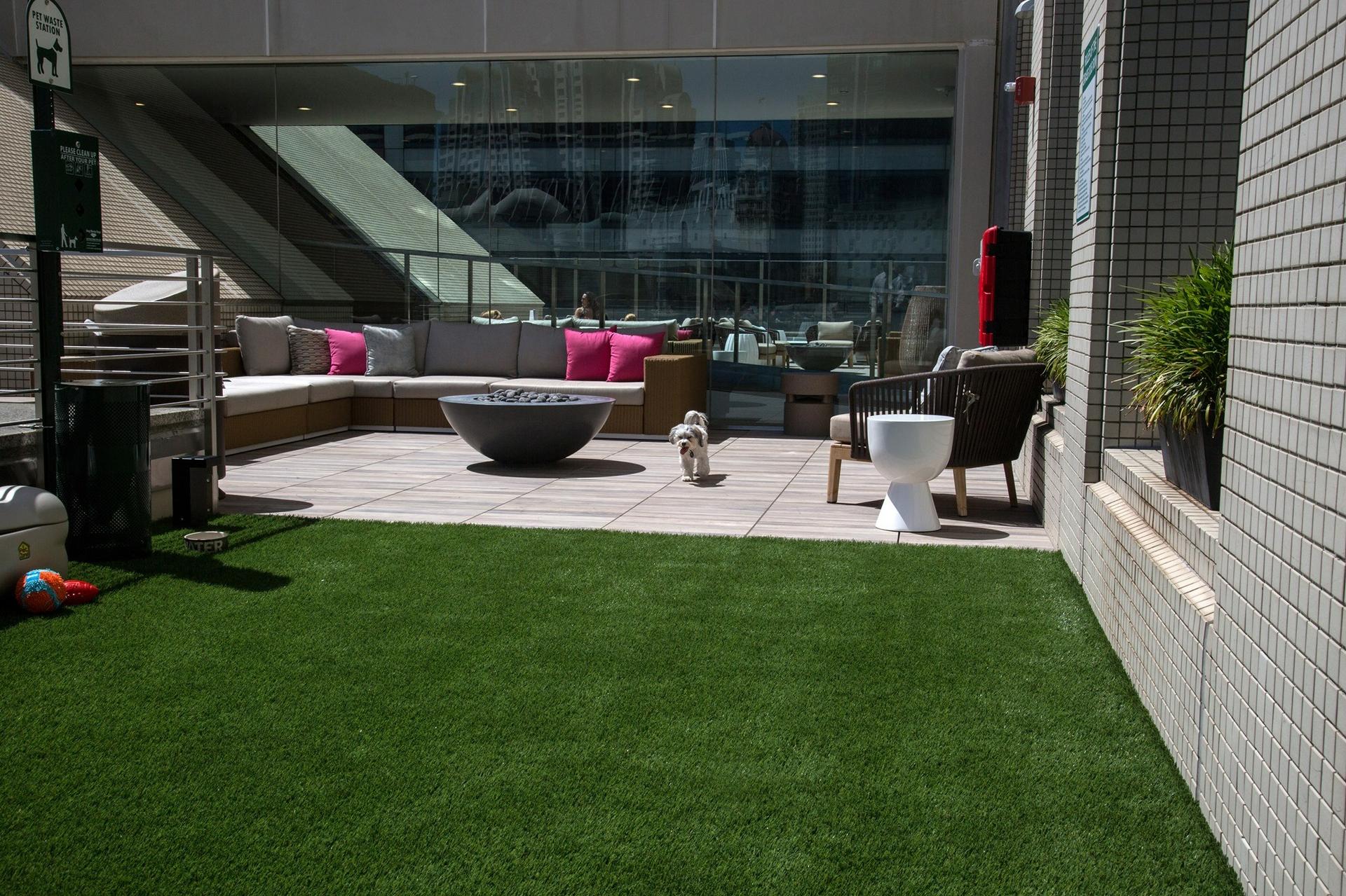 Rooftop Pool Deck Terrace