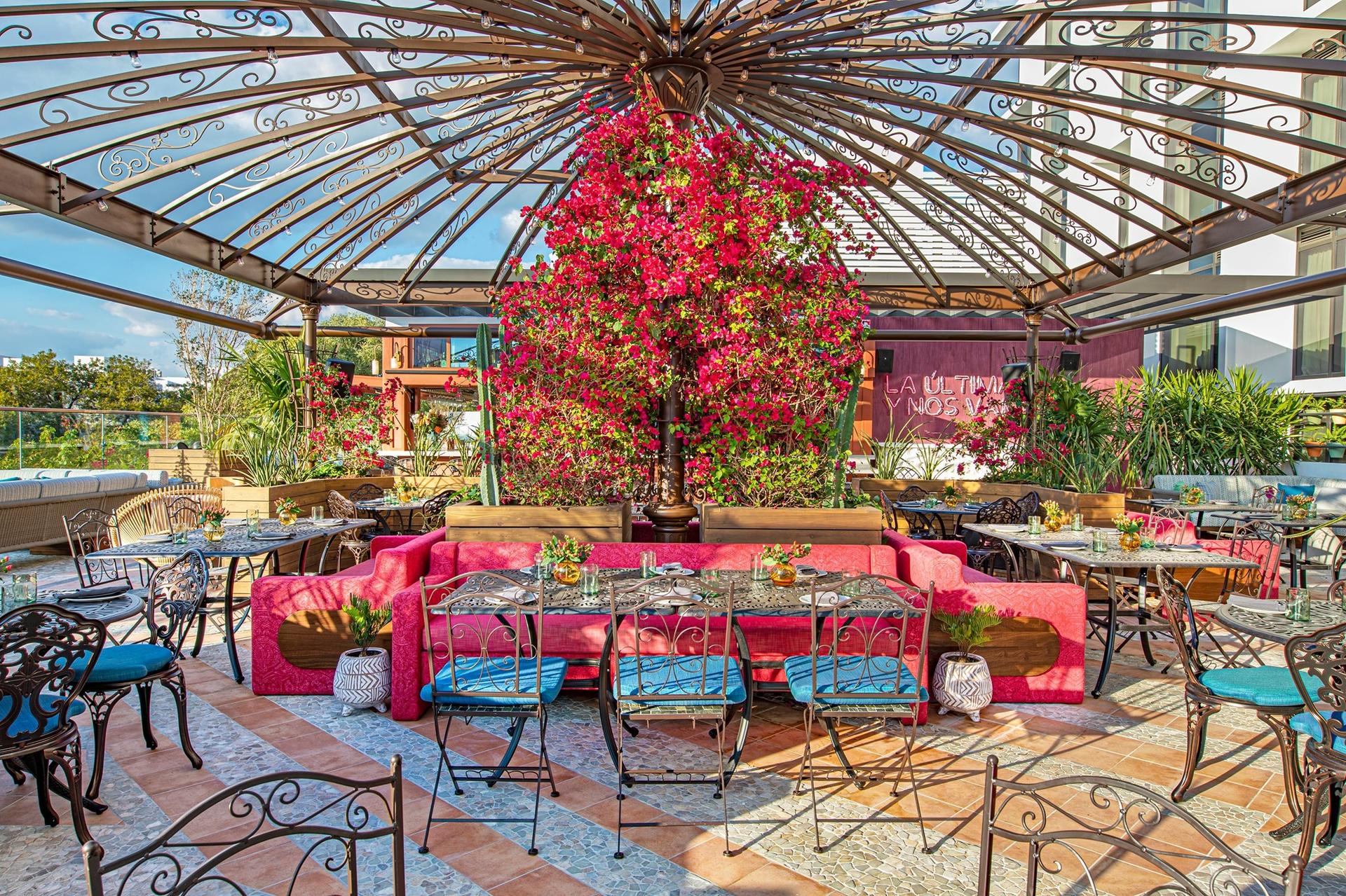 Rooftop and Restaurant Bar