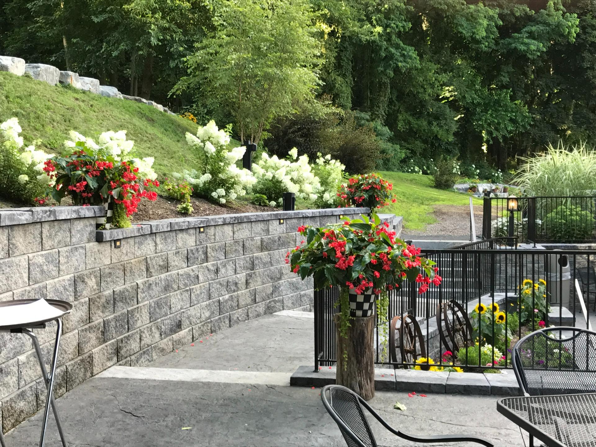 The Patio and Grove