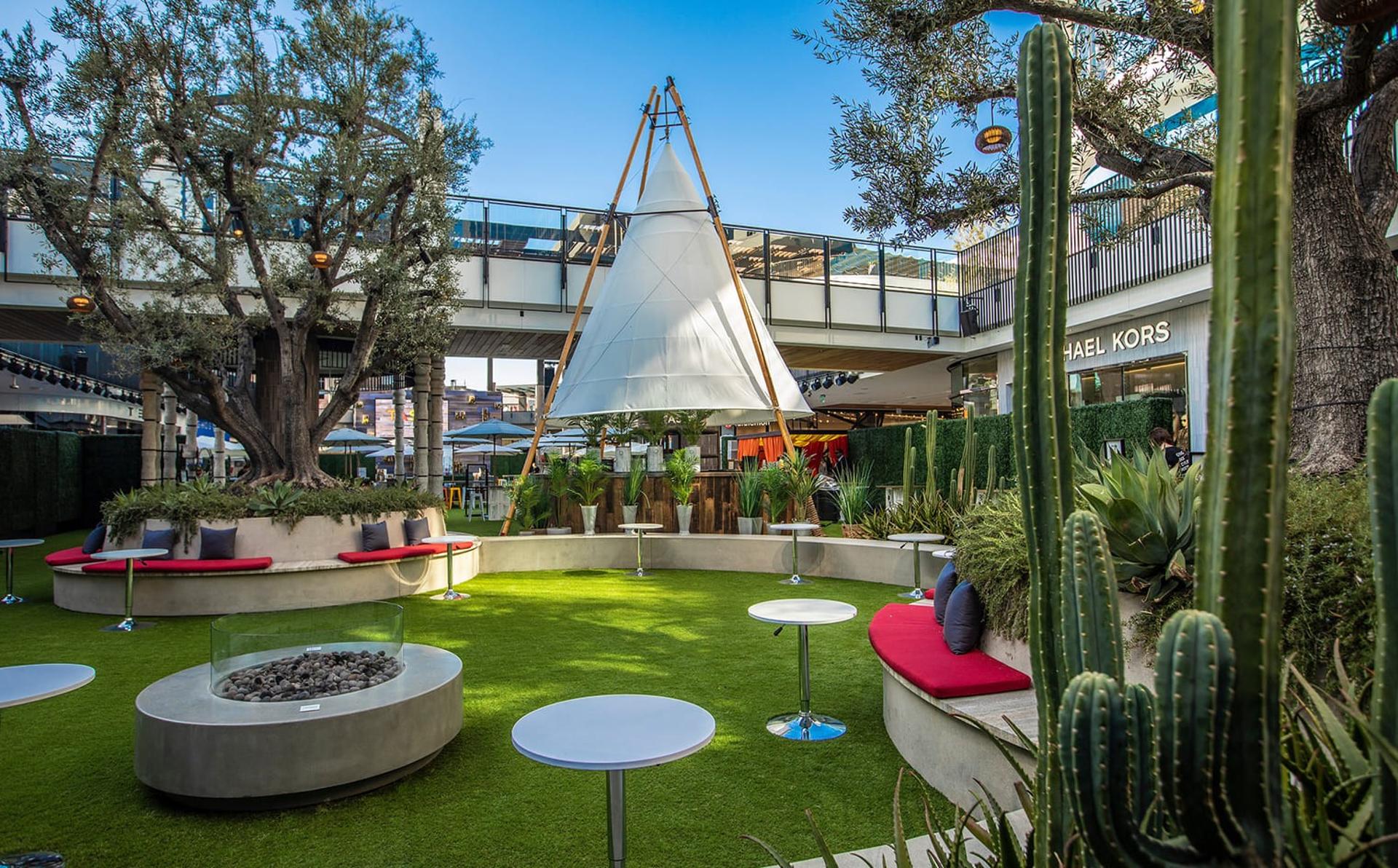 The Oasis